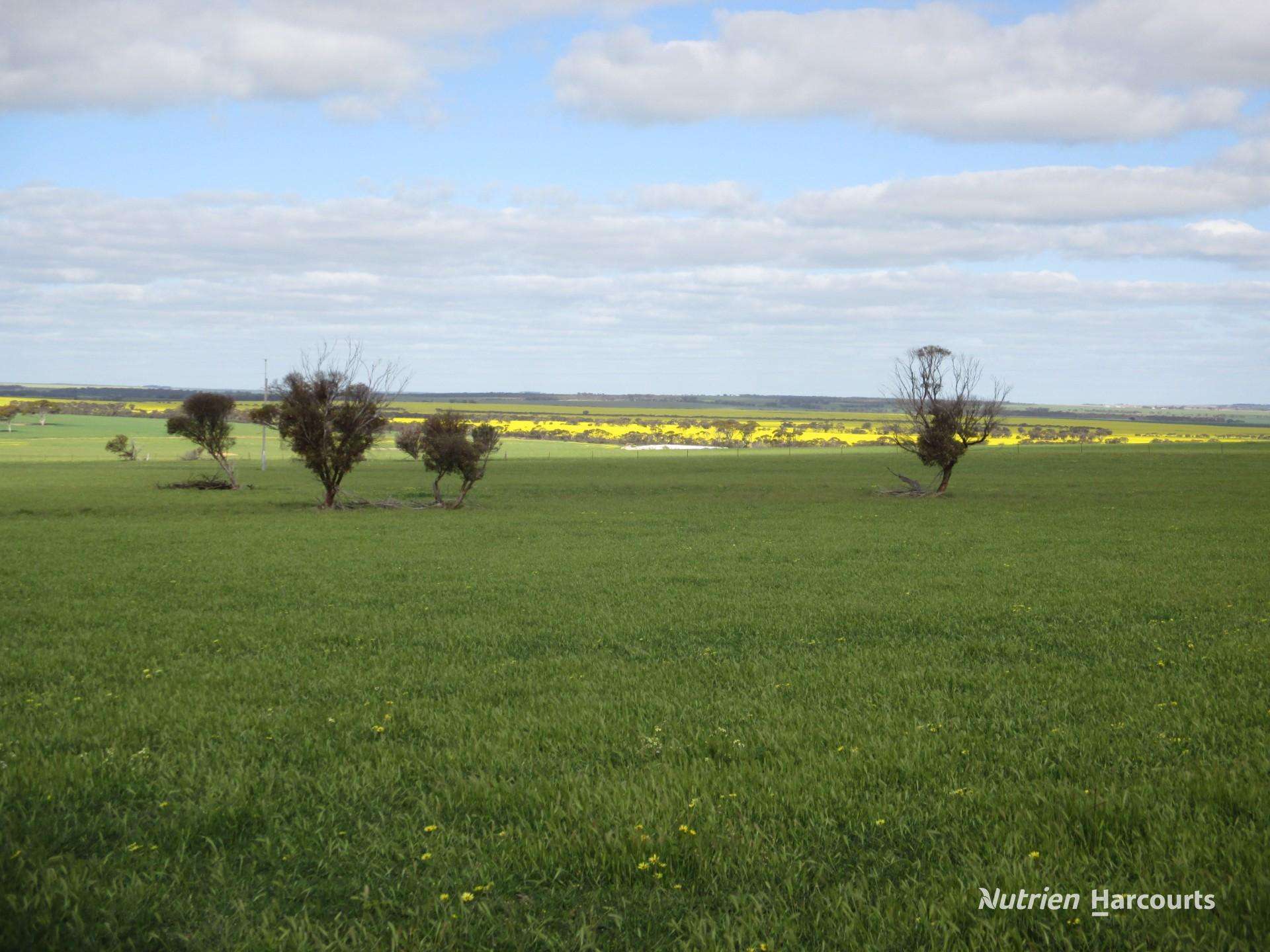 4333 Kulin Holt Rock Road, Pingaring For Sale by Farmbuy.com - image 1