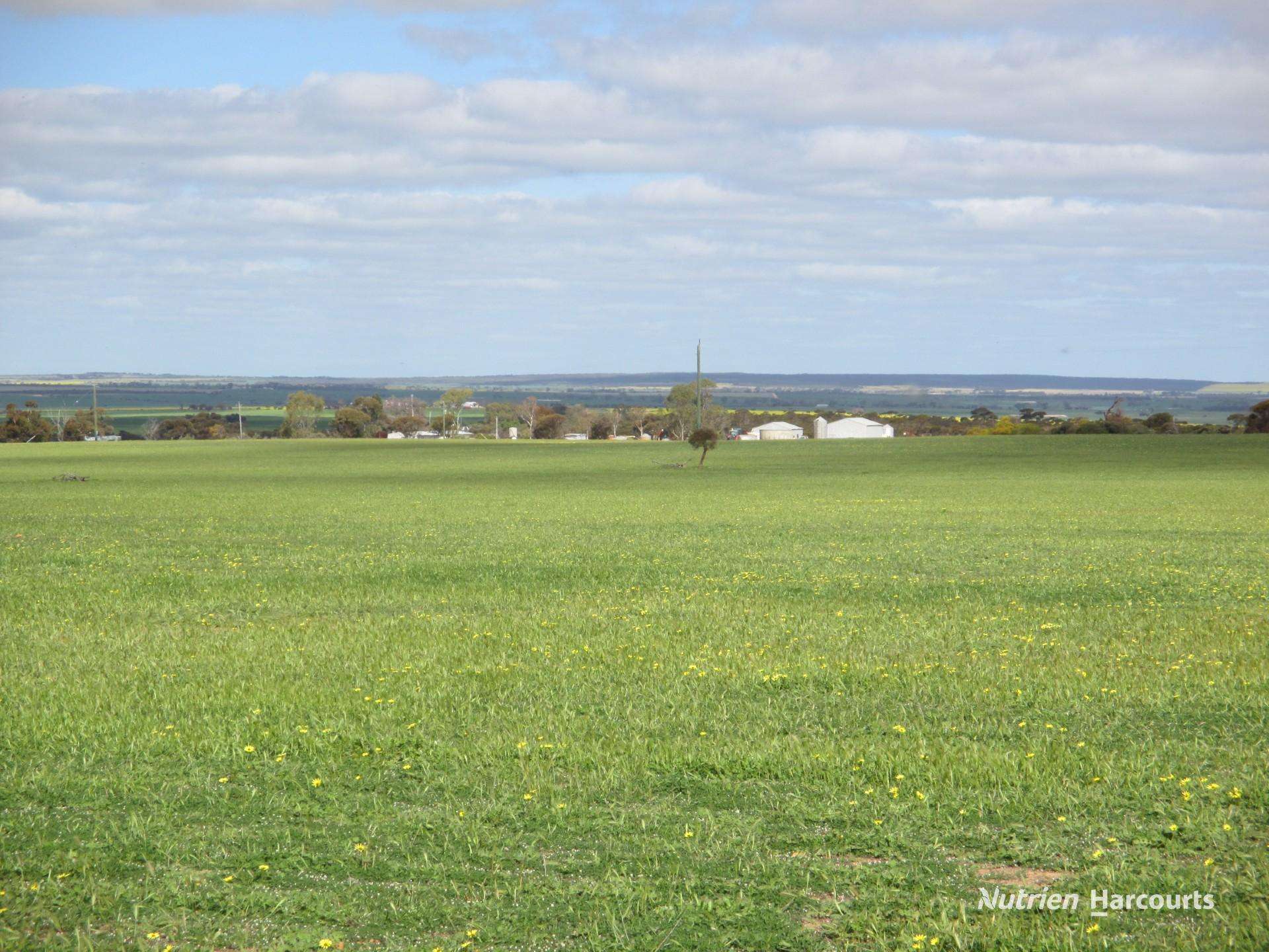 4333 Kulin Holt Rock Road, Pingaring For Sale by Farmbuy.com - image 6