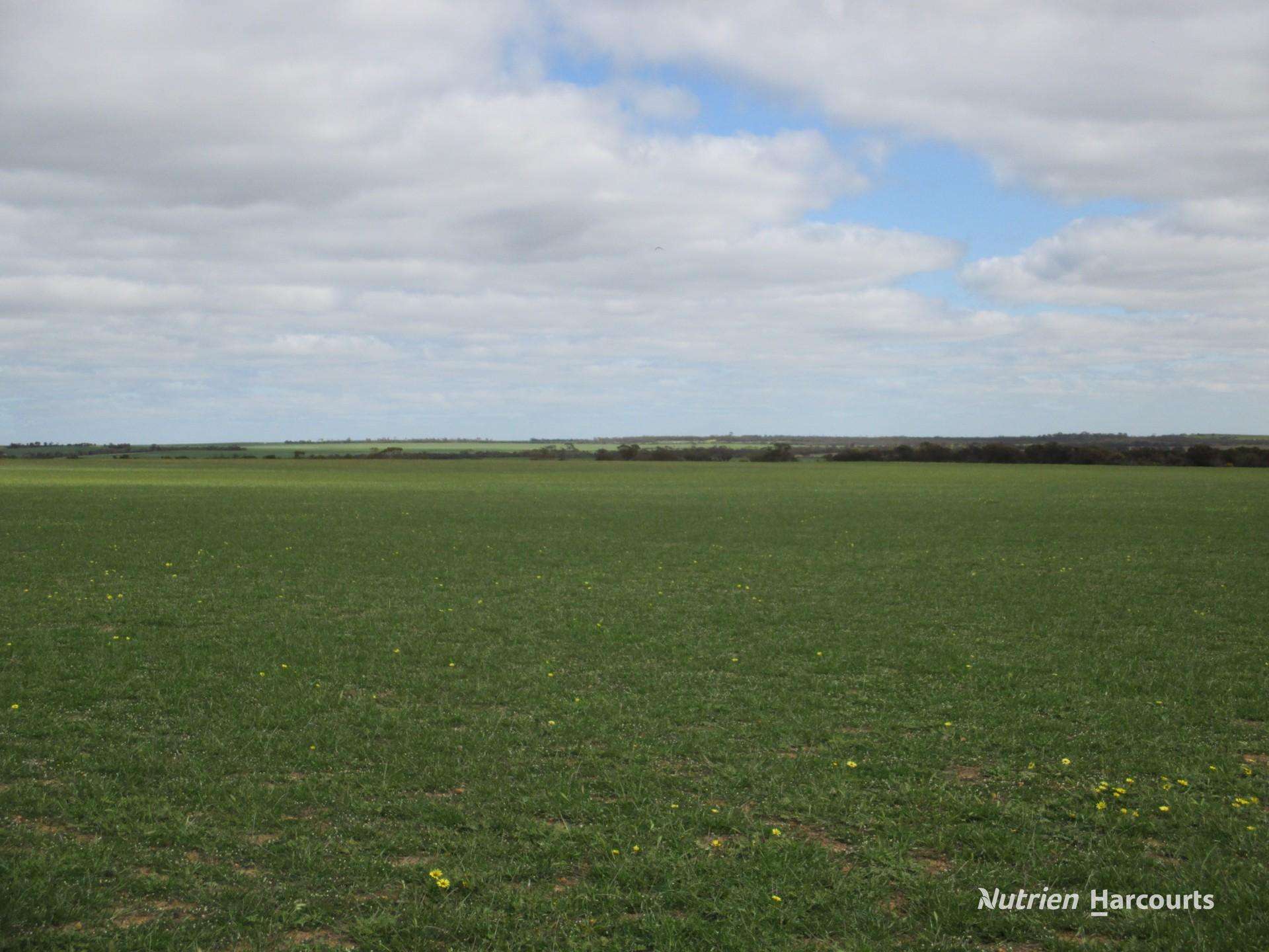 4333 Kulin Holt Rock Road, Pingaring For Sale by Farmbuy.com - image 8