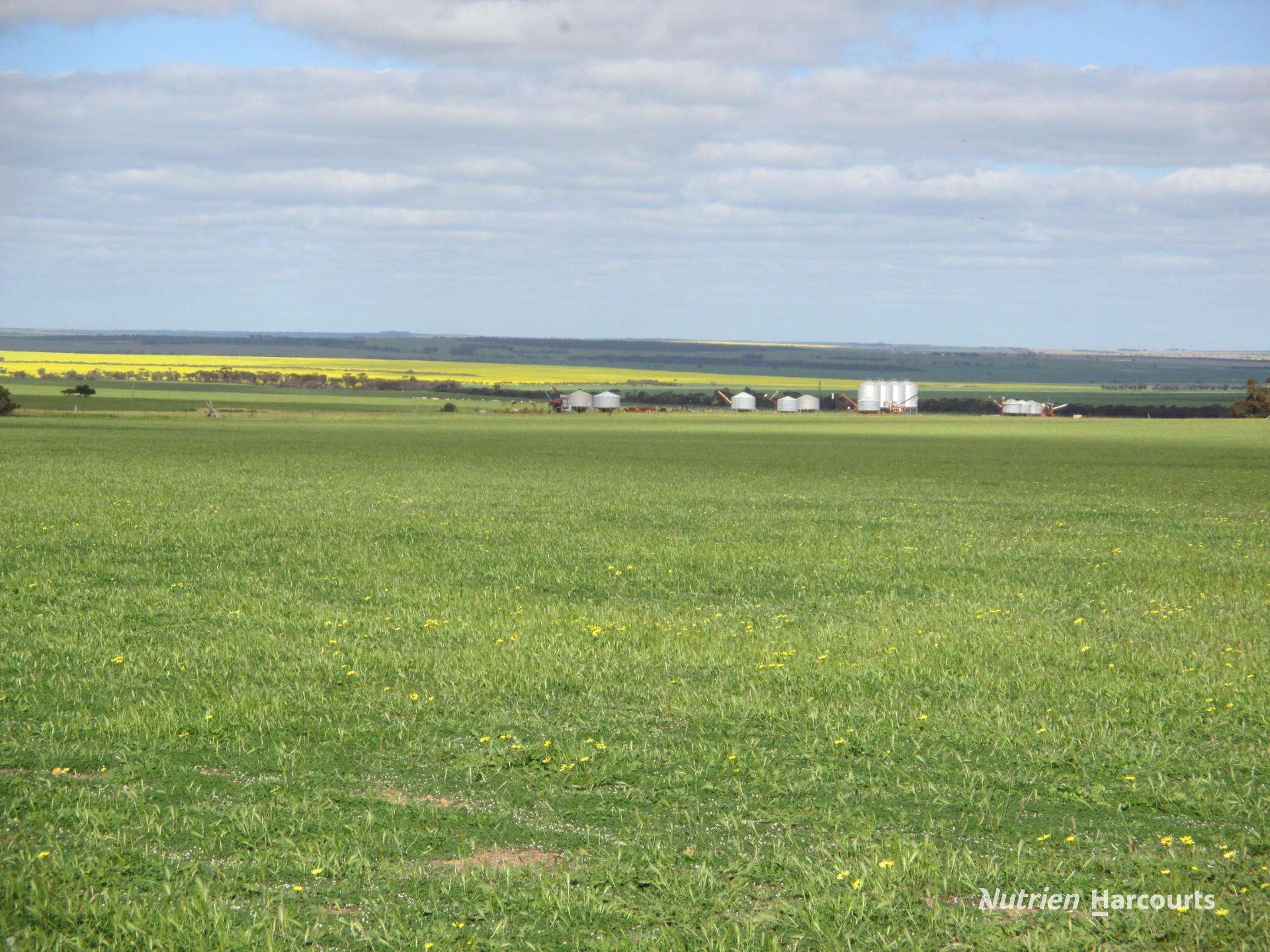 4333 Kulin Holt Rock Road, Pingaring For Sale by Farmbuy.com - image 7