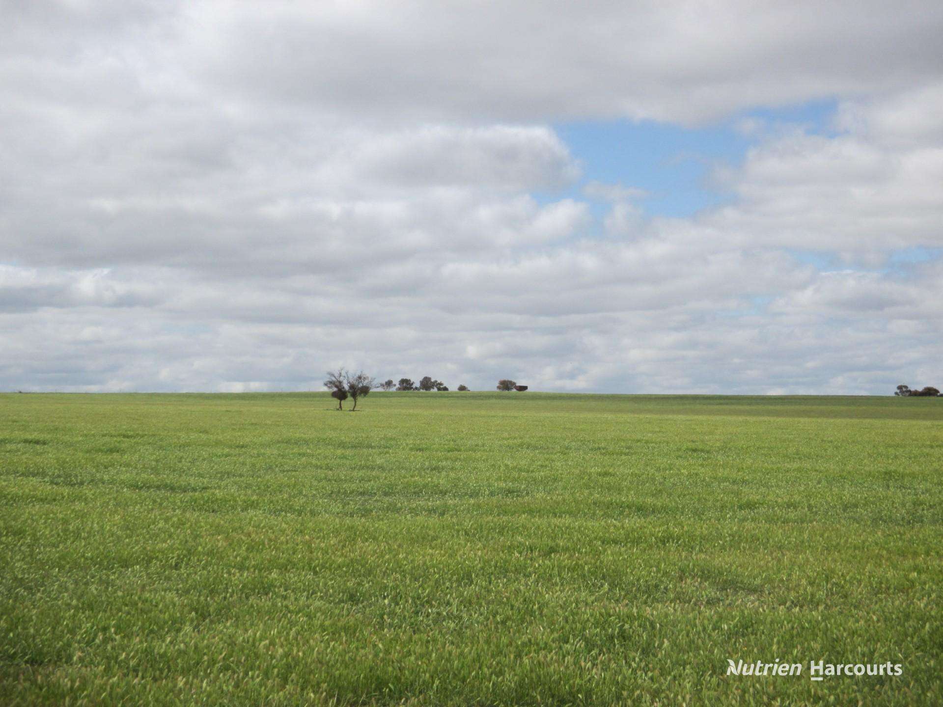 4333 Kulin Holt Rock Road, Pingaring For Sale by Farmbuy.com - image 9