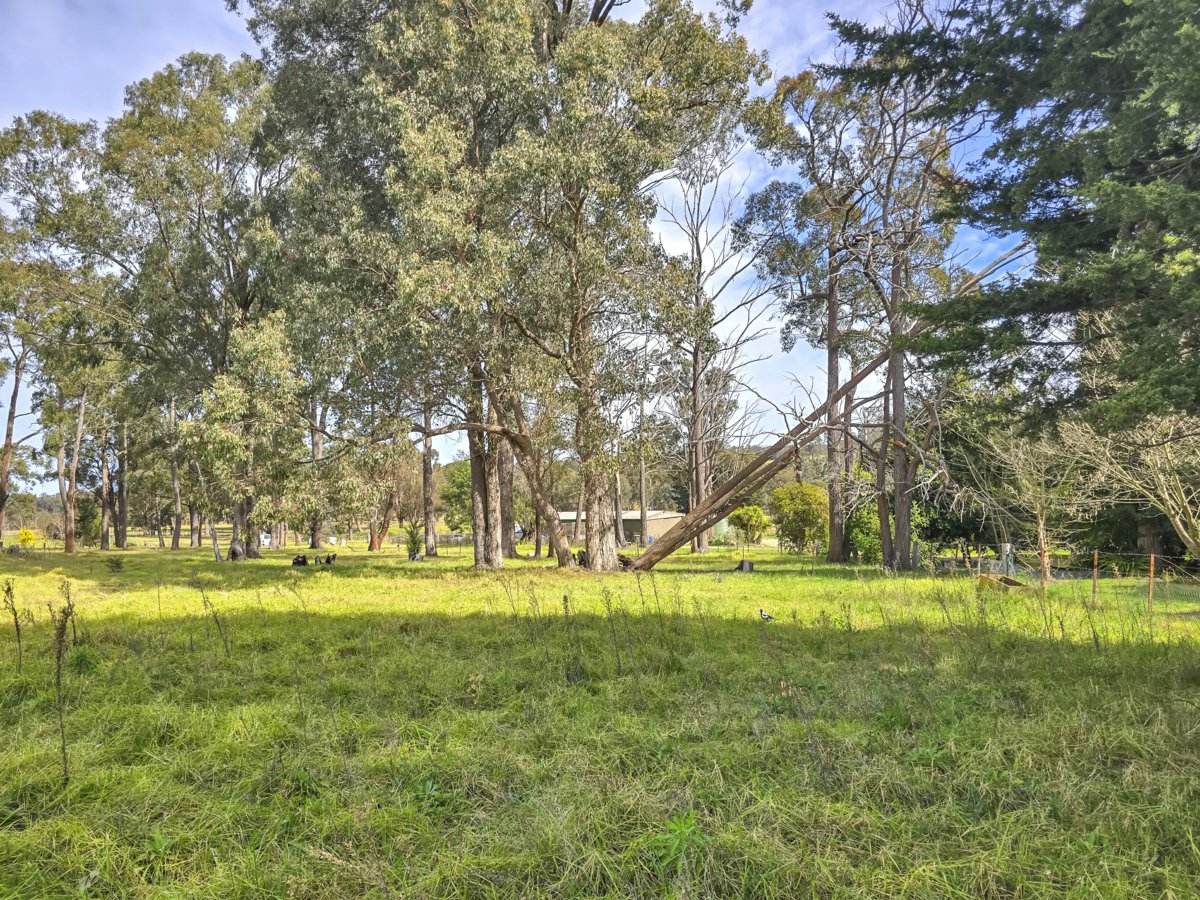 59 Bethross Drive, Tambo Upper For Sale by Farmbuy.com - image 18
