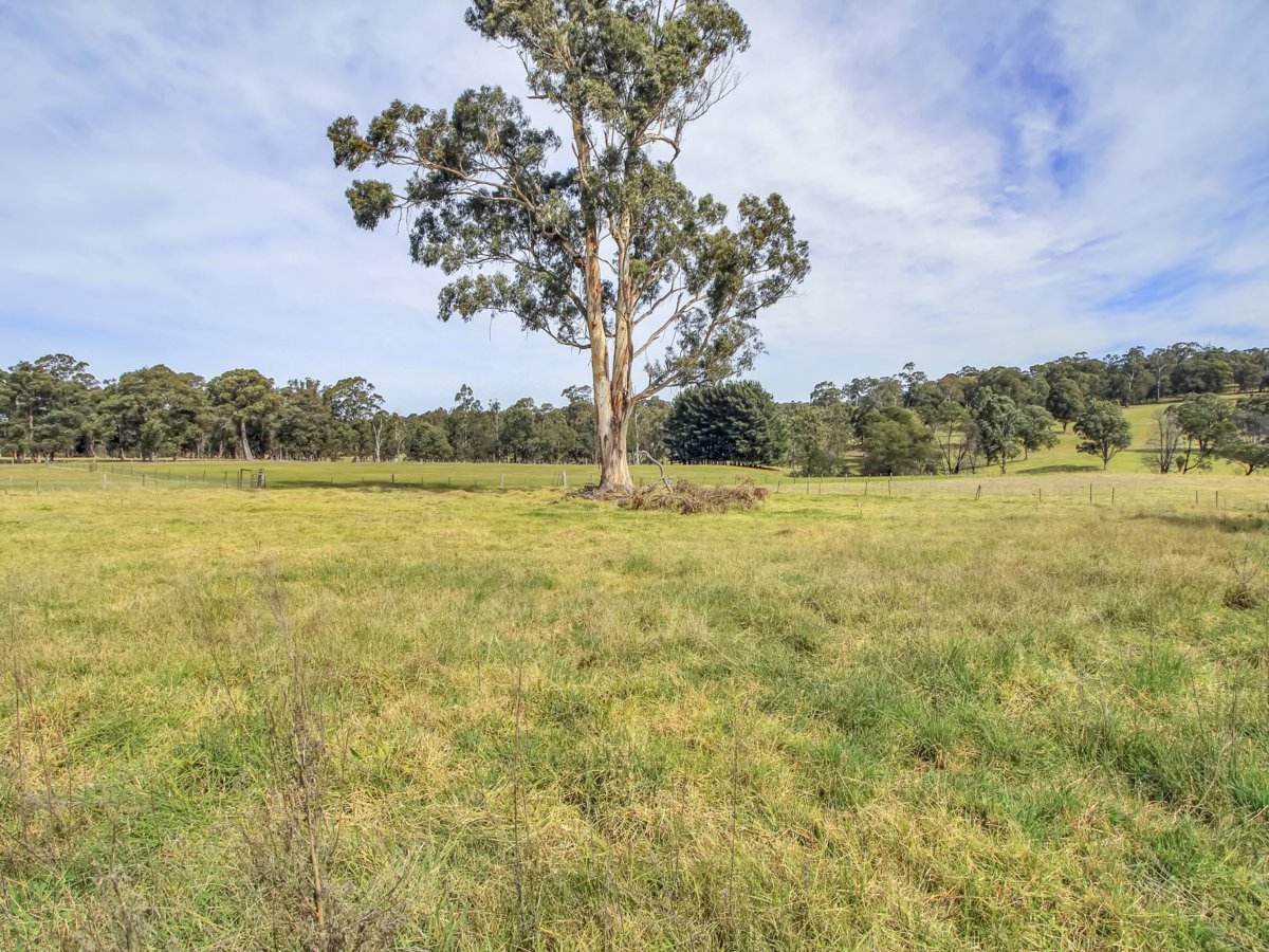 59 Bethross Drive, Tambo Upper For Sale by Farmbuy.com - image 19