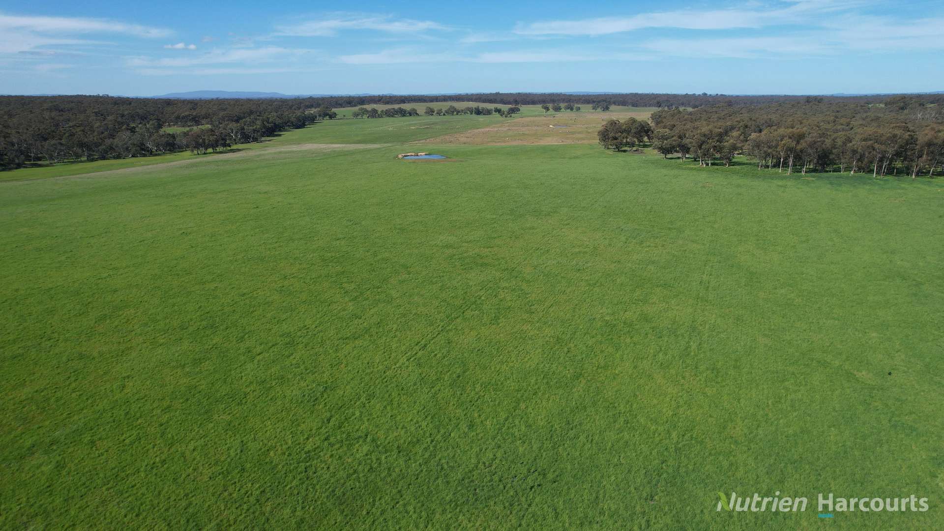 657 Strathlea Road, Strathlea Auction by Farmbuy.com - image 2