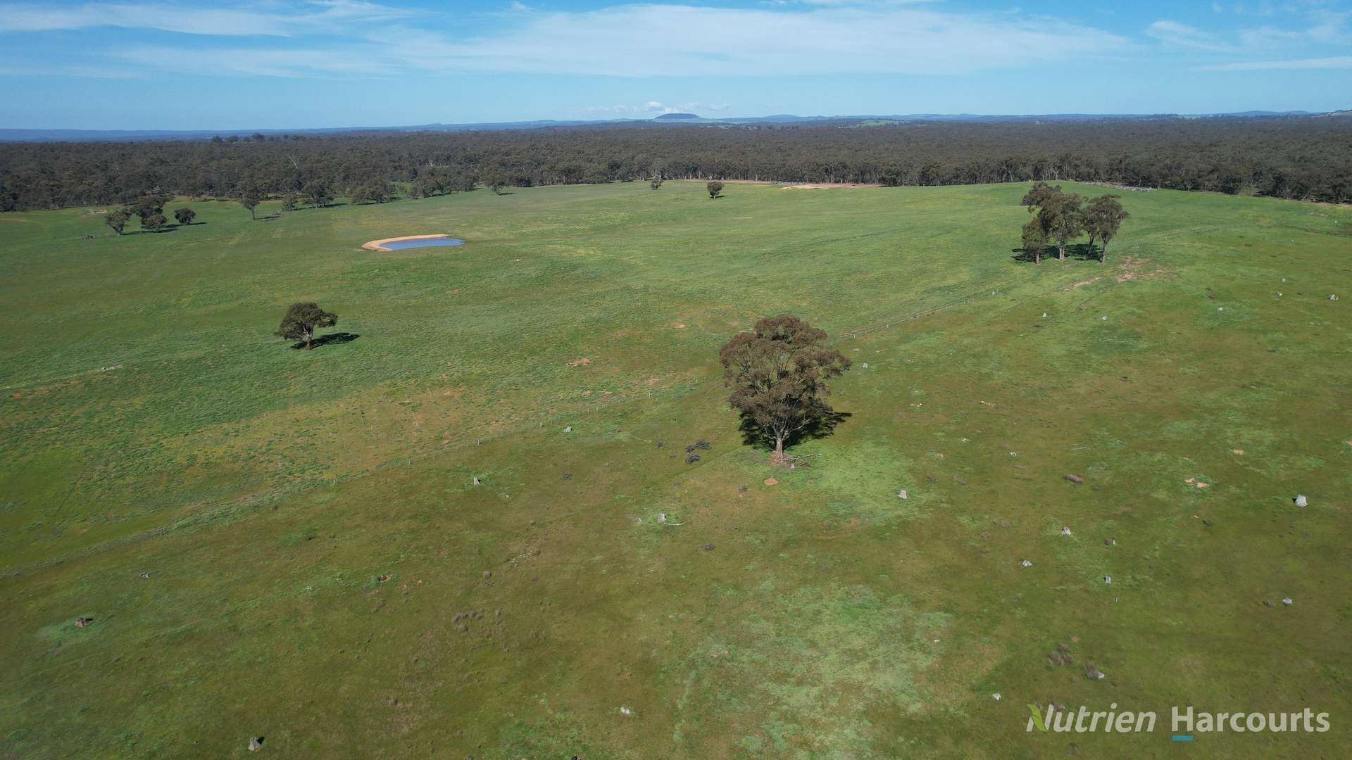 657 Strathlea Road, Strathlea Auction by Farmbuy.com - image 8