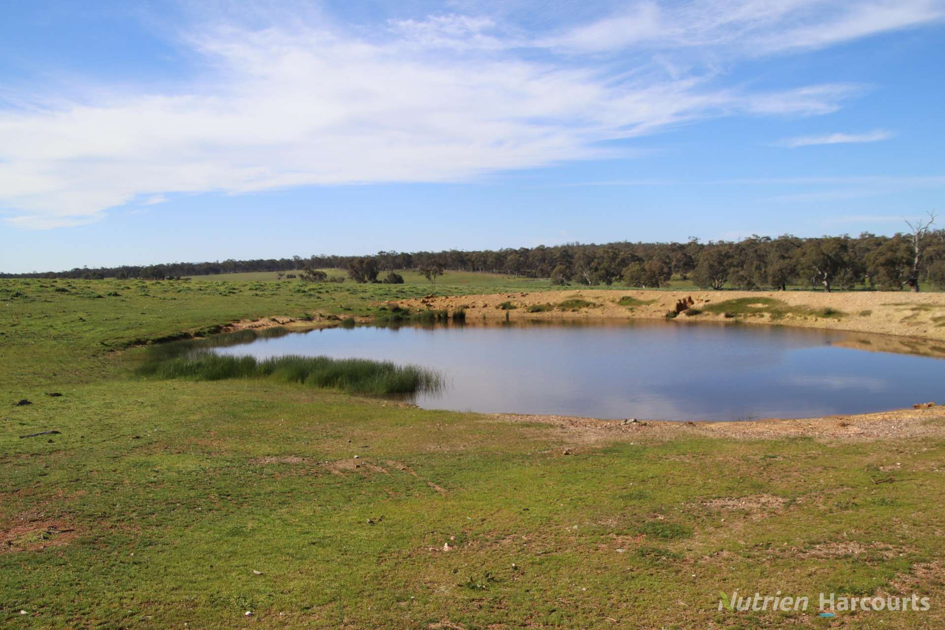 657 Strathlea Road, Strathlea Auction by Farmbuy.com - image 11