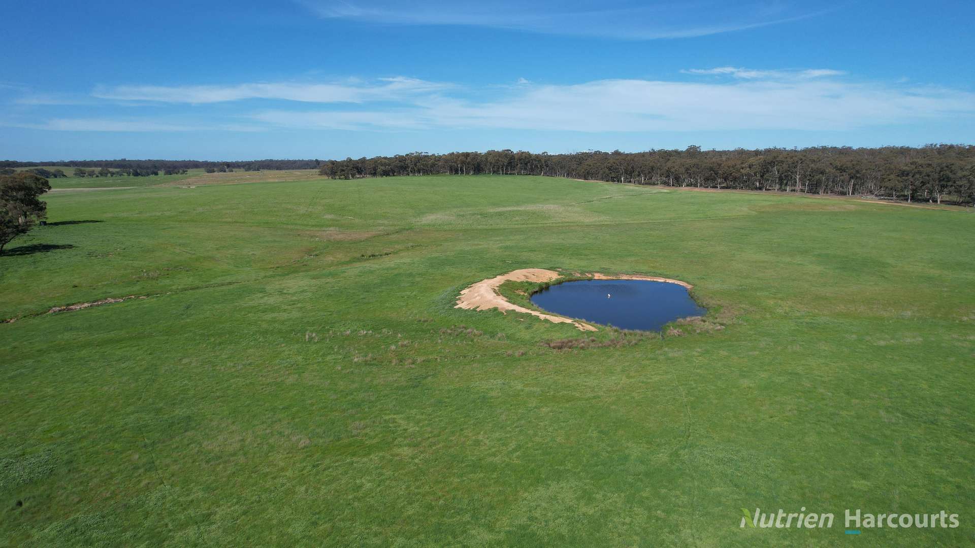 657 Strathlea Road, Strathlea Auction by Farmbuy.com - image 3