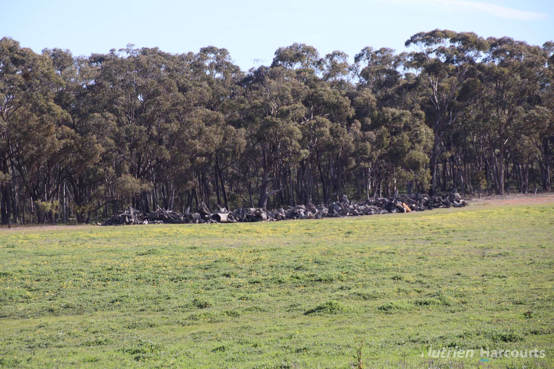 657 Strathlea Road, Strathlea Auction by Farmbuy.com - image 12