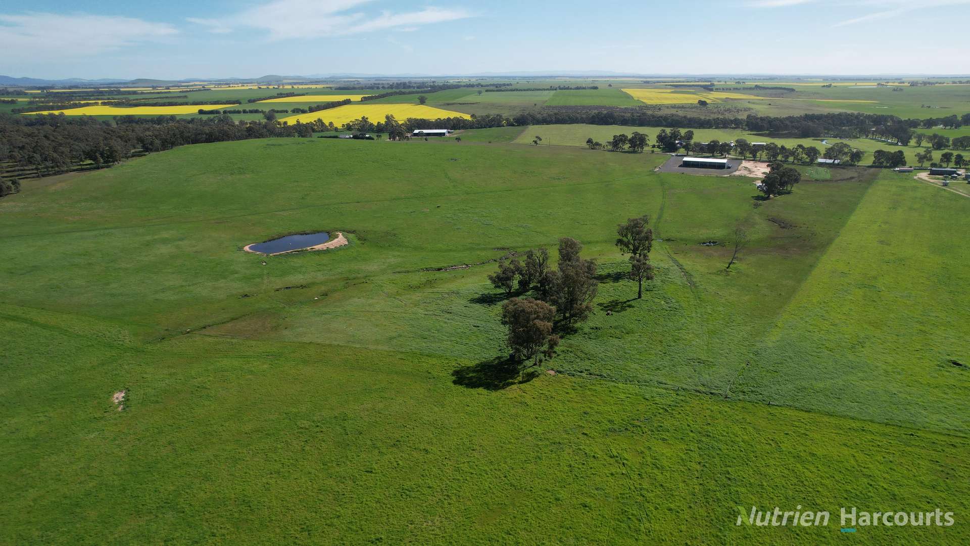 657 Strathlea Road, Strathlea Auction by Farmbuy.com - image 9
