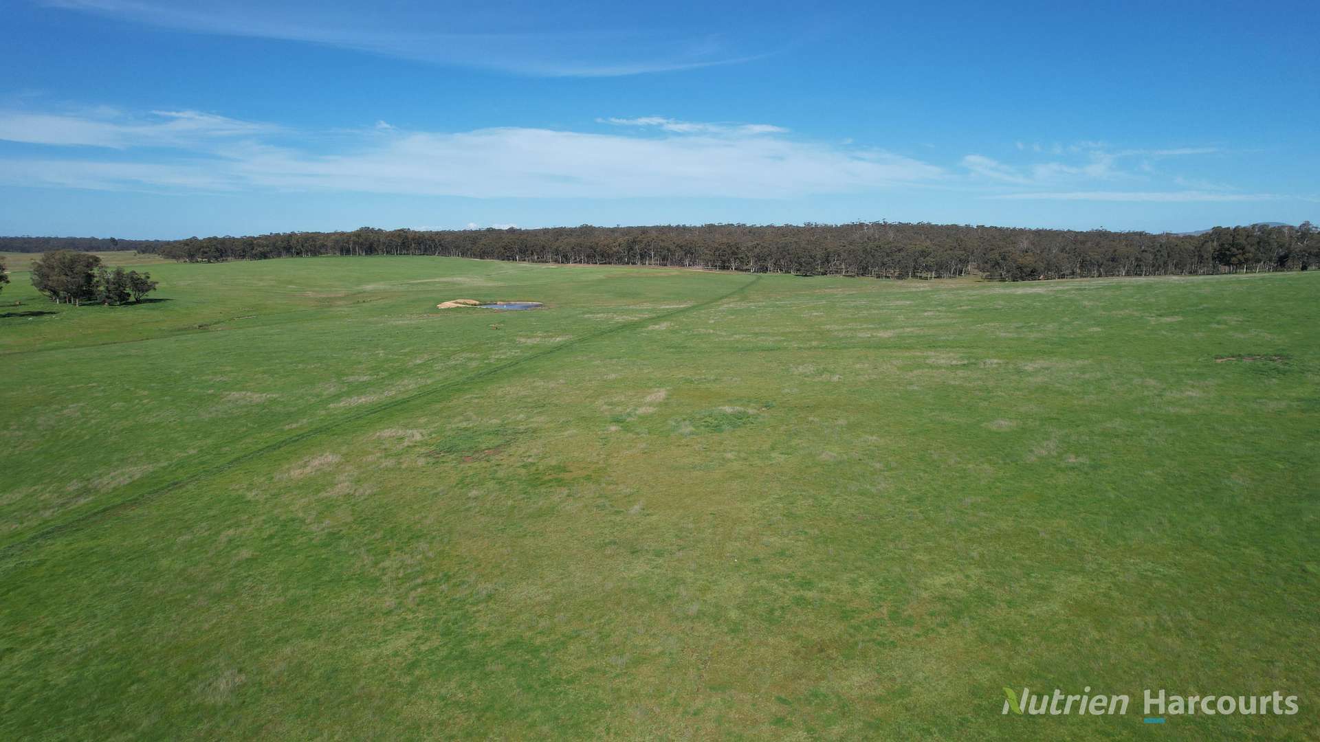 657 Strathlea Road, Strathlea Auction by Farmbuy.com - image 13