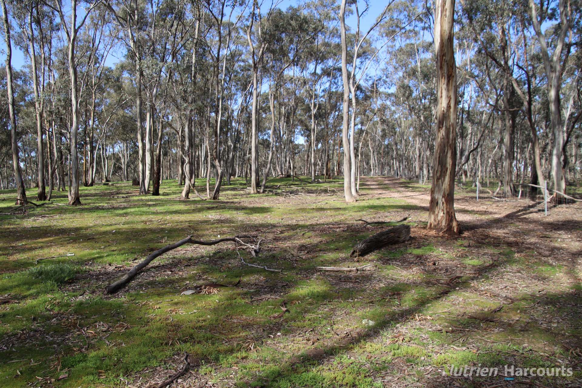 657 Strathlea Road, Strathlea Auction by Farmbuy.com - image 10