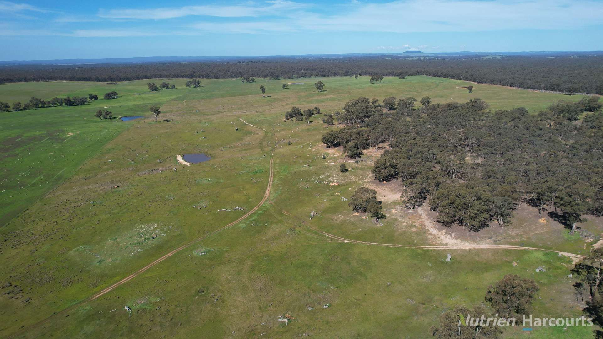 657 Strathlea Road, Strathlea Auction by Farmbuy.com - image 7