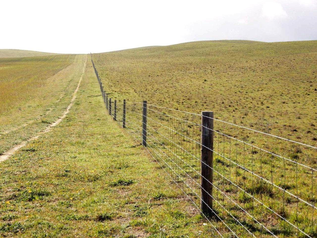 "Garra" & "Garra North", Parrakie For Sale by Farmbuy.com - image 14