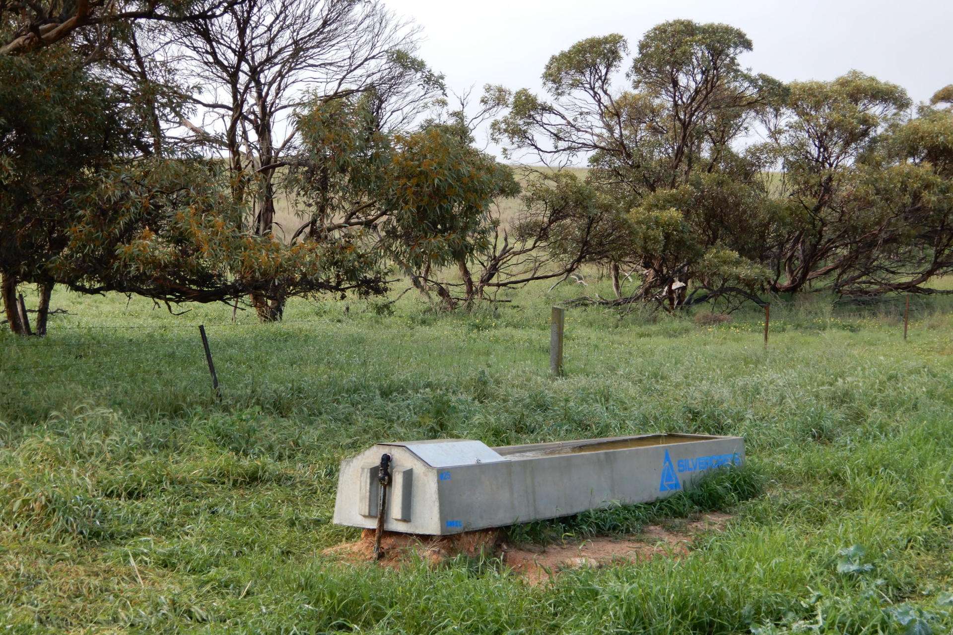 "Garra" & "Garra North", Parrakie For Sale by Farmbuy.com - image 10
