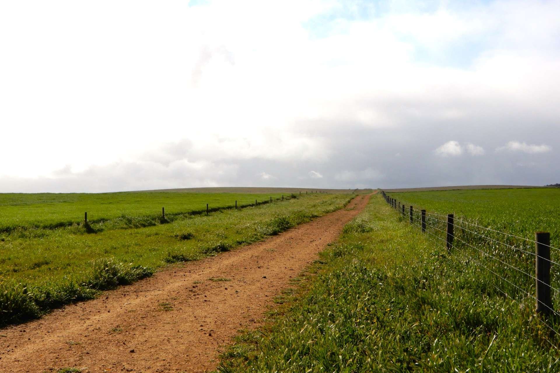 "Garra" & "Garra North", Parrakie For Sale by Farmbuy.com - image 7