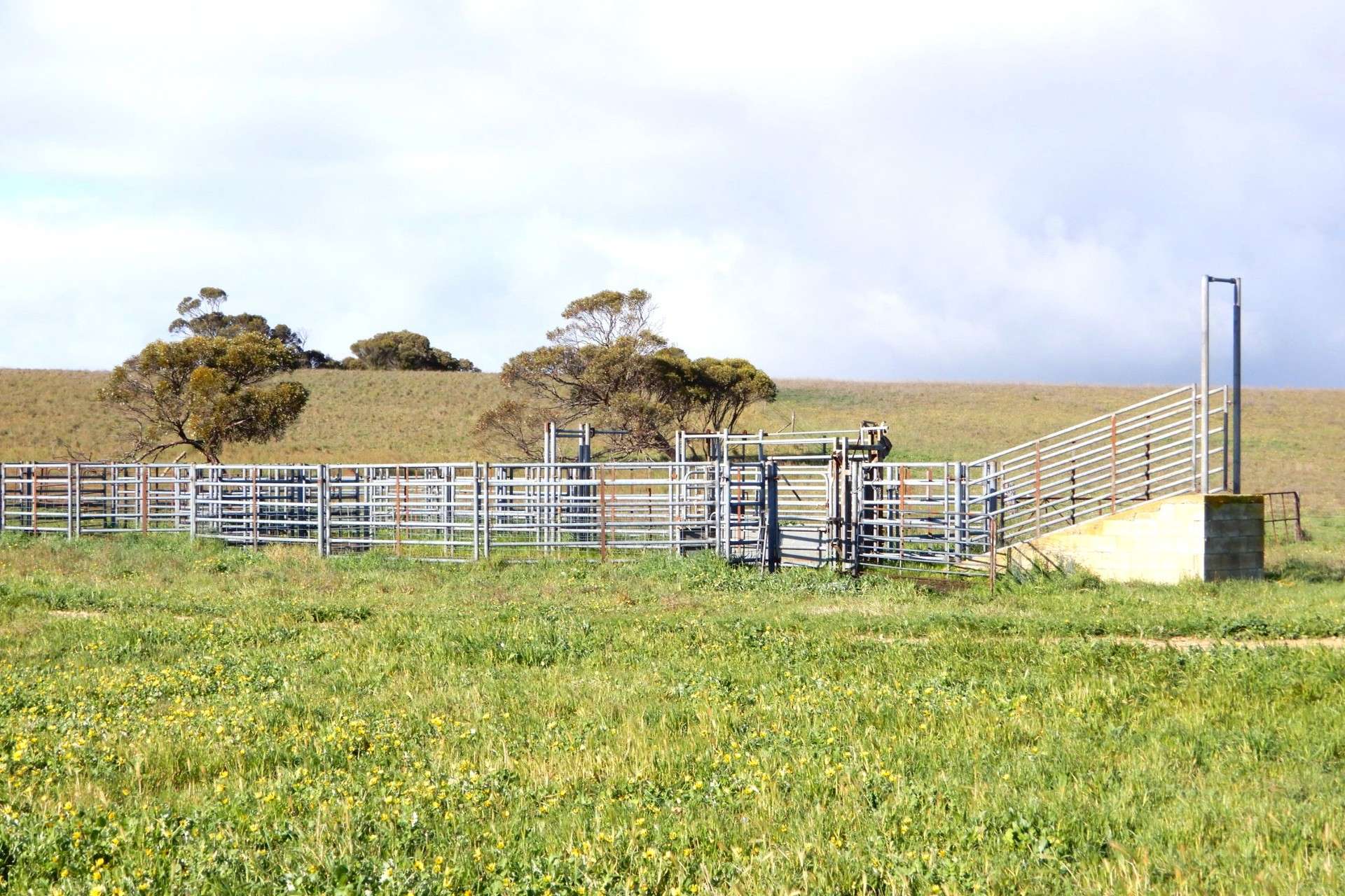 "Garra" & "Garra North", Parrakie For Sale by Farmbuy.com - image 3
