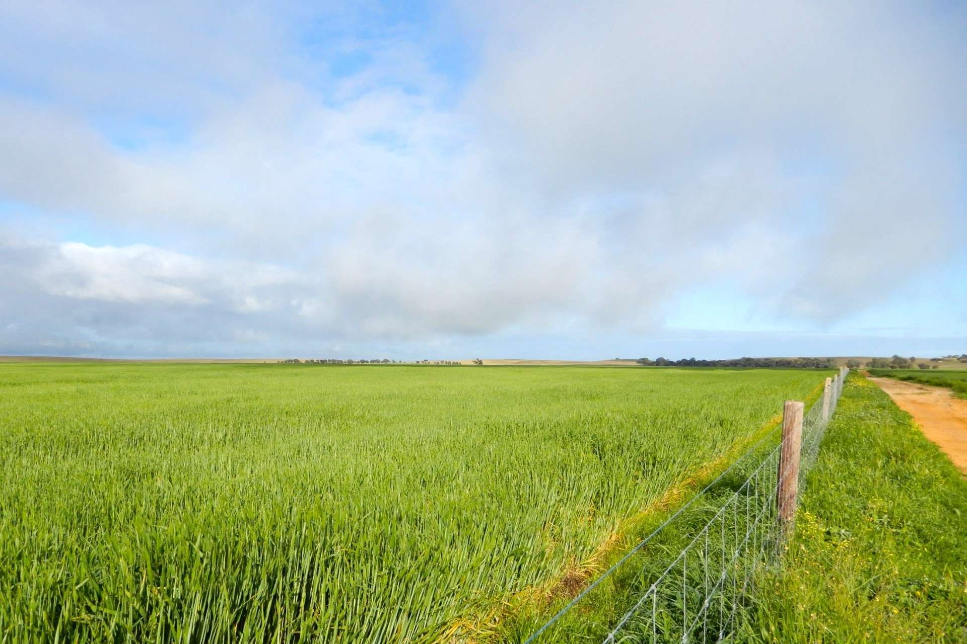 "Garra" & "Garra North", Parrakie For Sale by Farmbuy.com - image 2