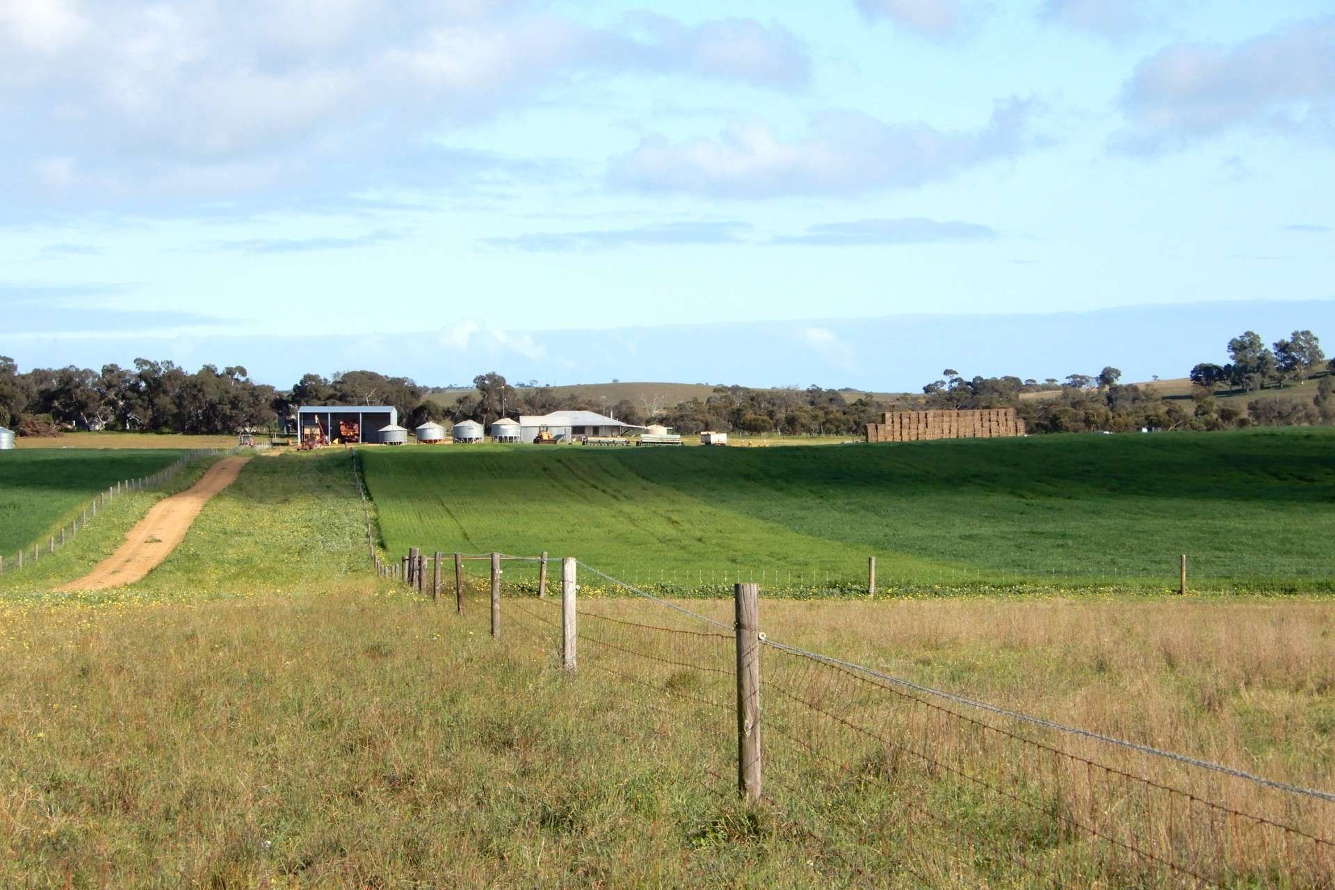 "Garra" & "Garra North", Parrakie For Sale by Farmbuy.com - image 15