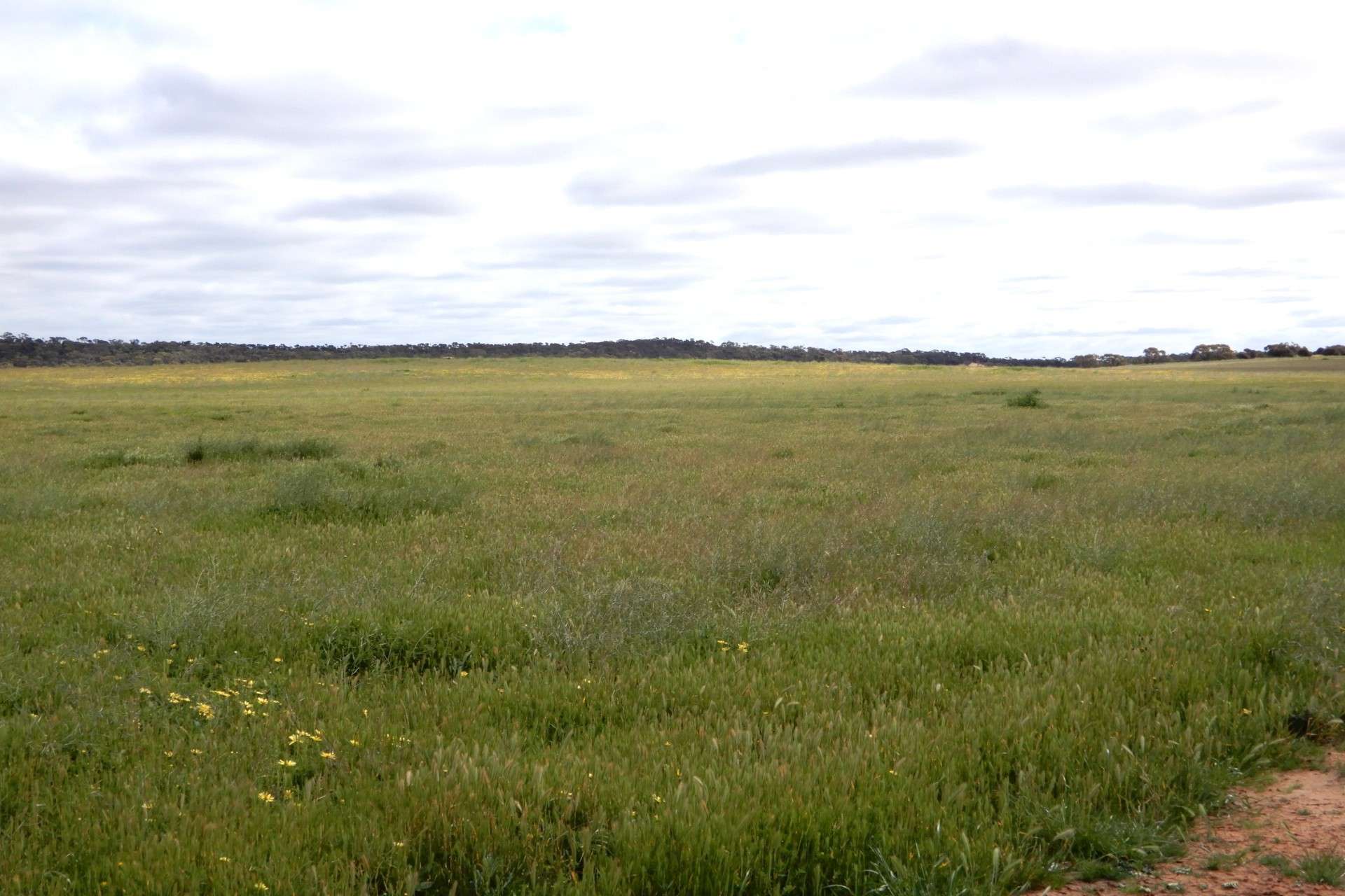 2370 Schubert Road, Kringin For Sale by Farmbuy.com - image 2