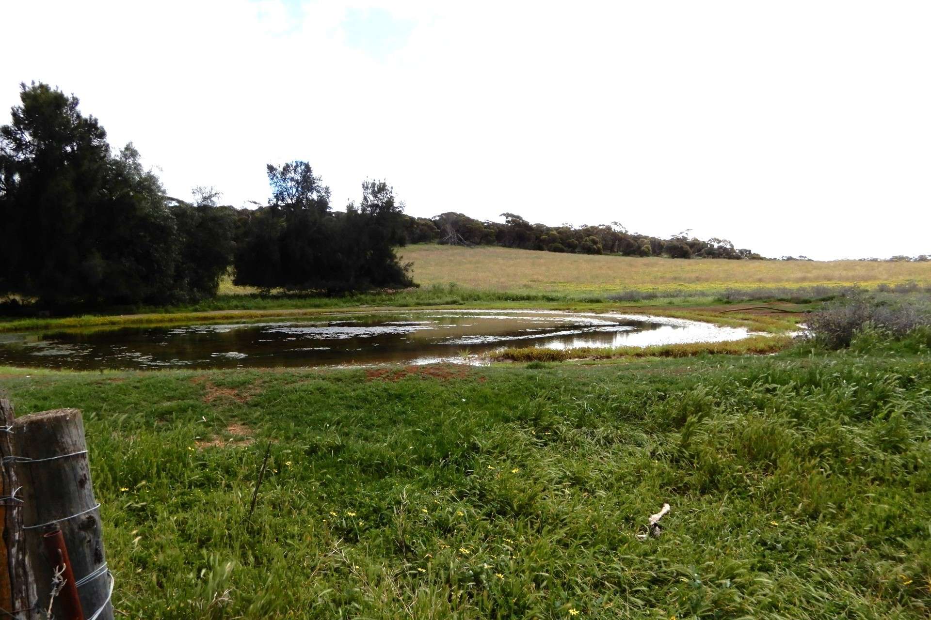 2370 Schubert Road, Kringin For Sale by Farmbuy.com - image 11