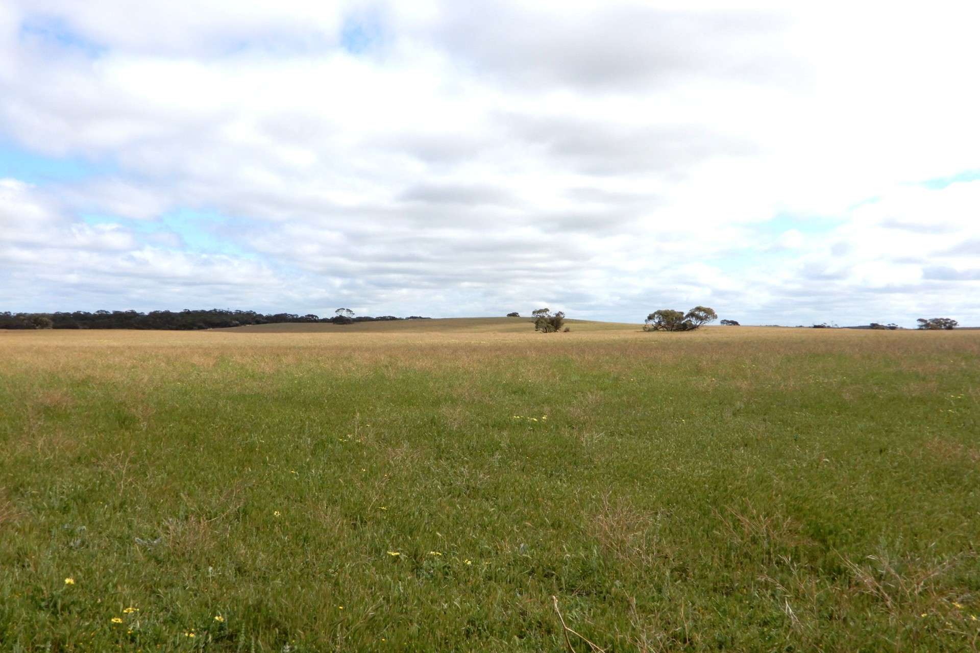 2370 Schubert Road, Kringin For Sale by Farmbuy.com - image 13