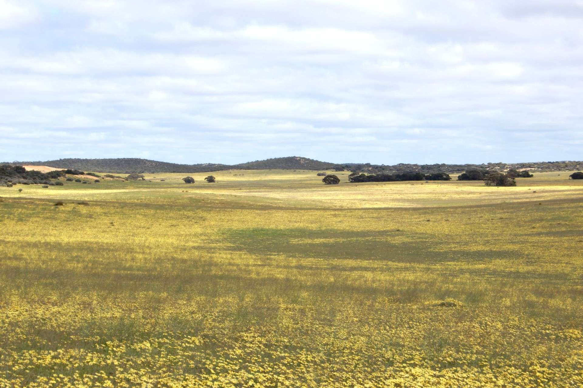 2370 Schubert Road, Kringin For Sale by Farmbuy.com - image 10