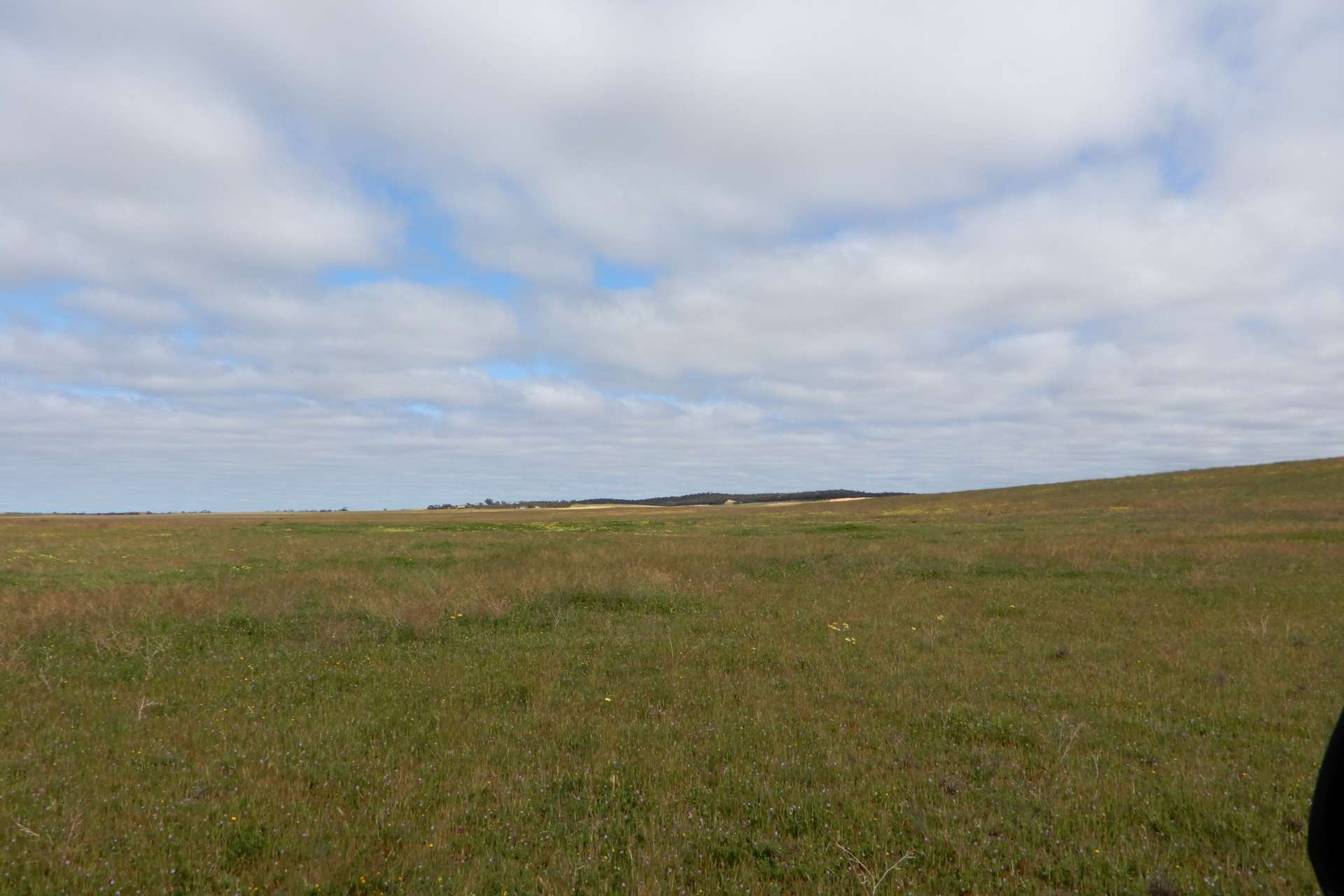 2370 Schubert Road, Kringin For Sale by Farmbuy.com - image 15