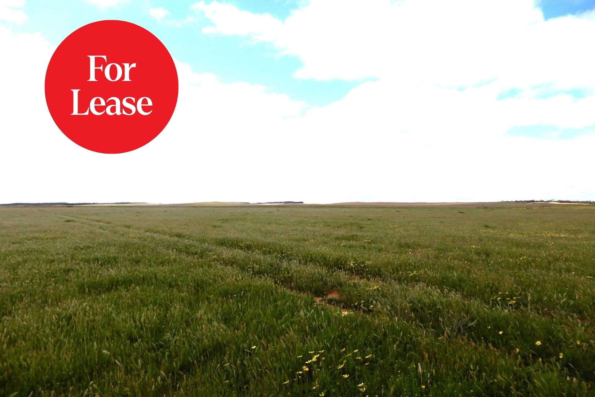 2370 Schubert Road, Kringin For Sale by Farmbuy.com - image 1