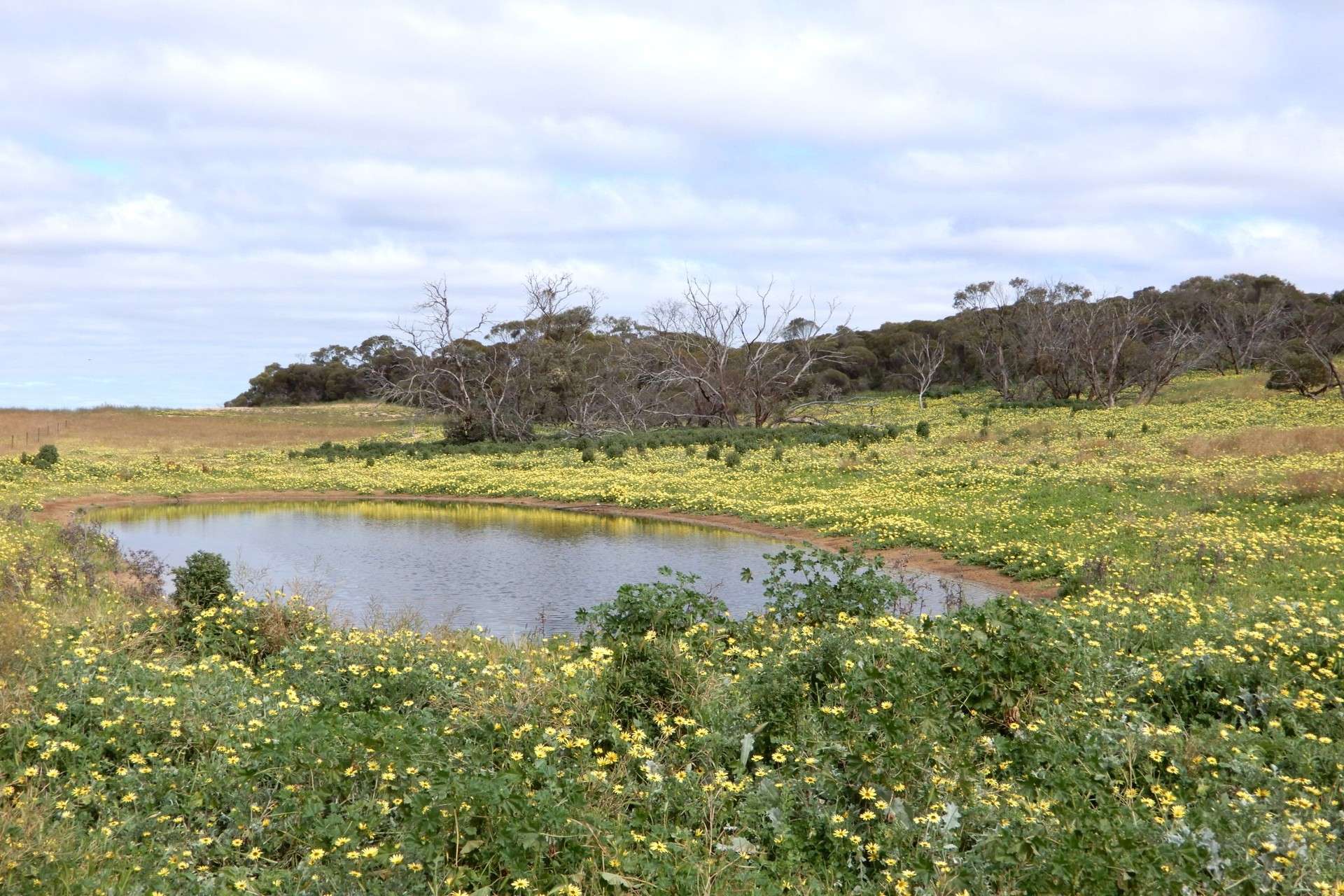 2370 Schubert Road, Kringin For Sale by Farmbuy.com - image 7