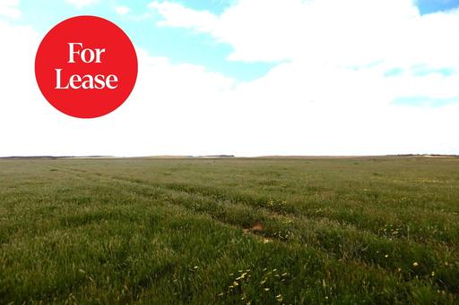 2370 Schubert Road, Kringin SA 5304