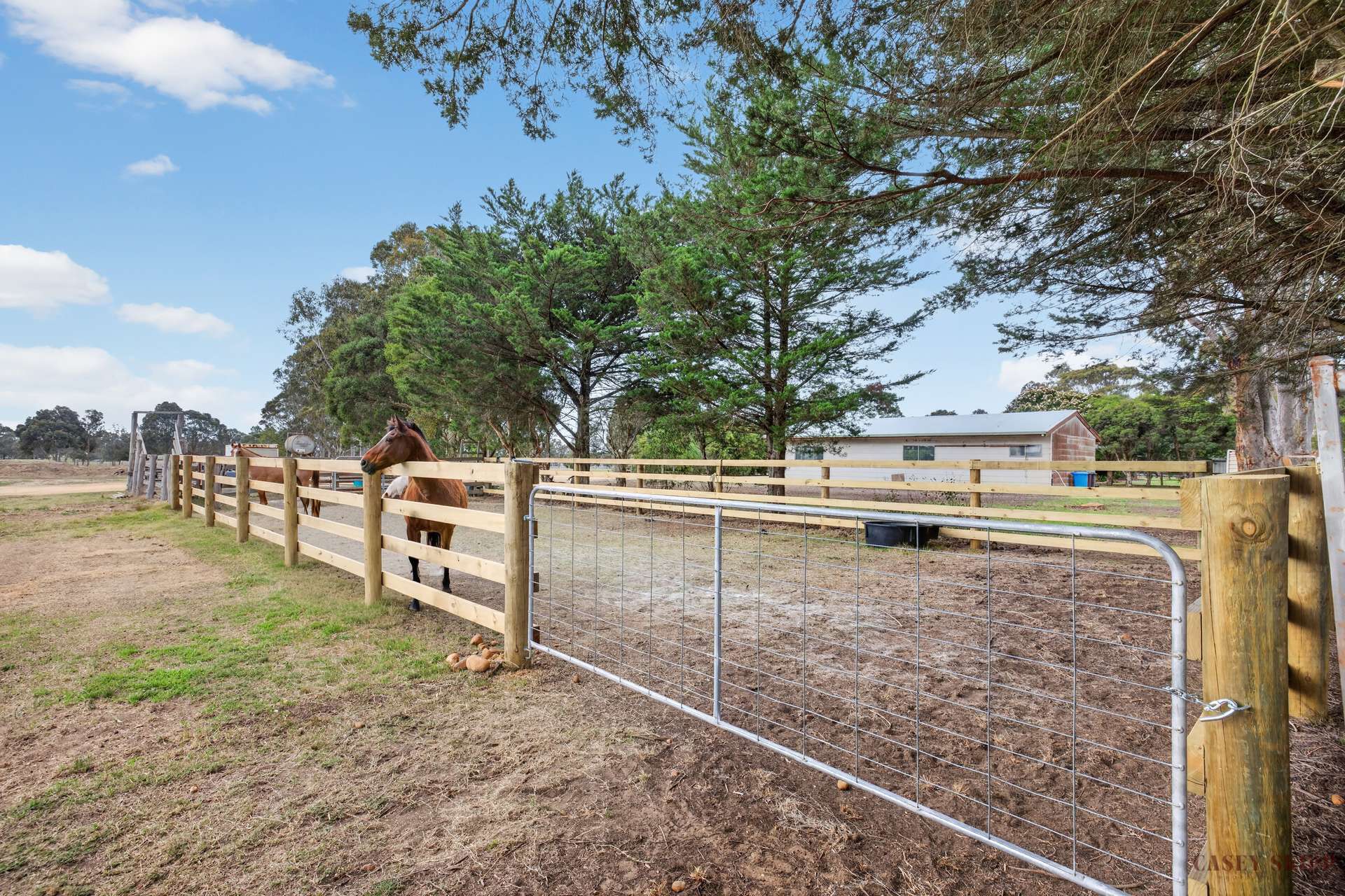 500 Forge Creek Road, Bairnsdale For Sale by Farmbuy.com - image 20