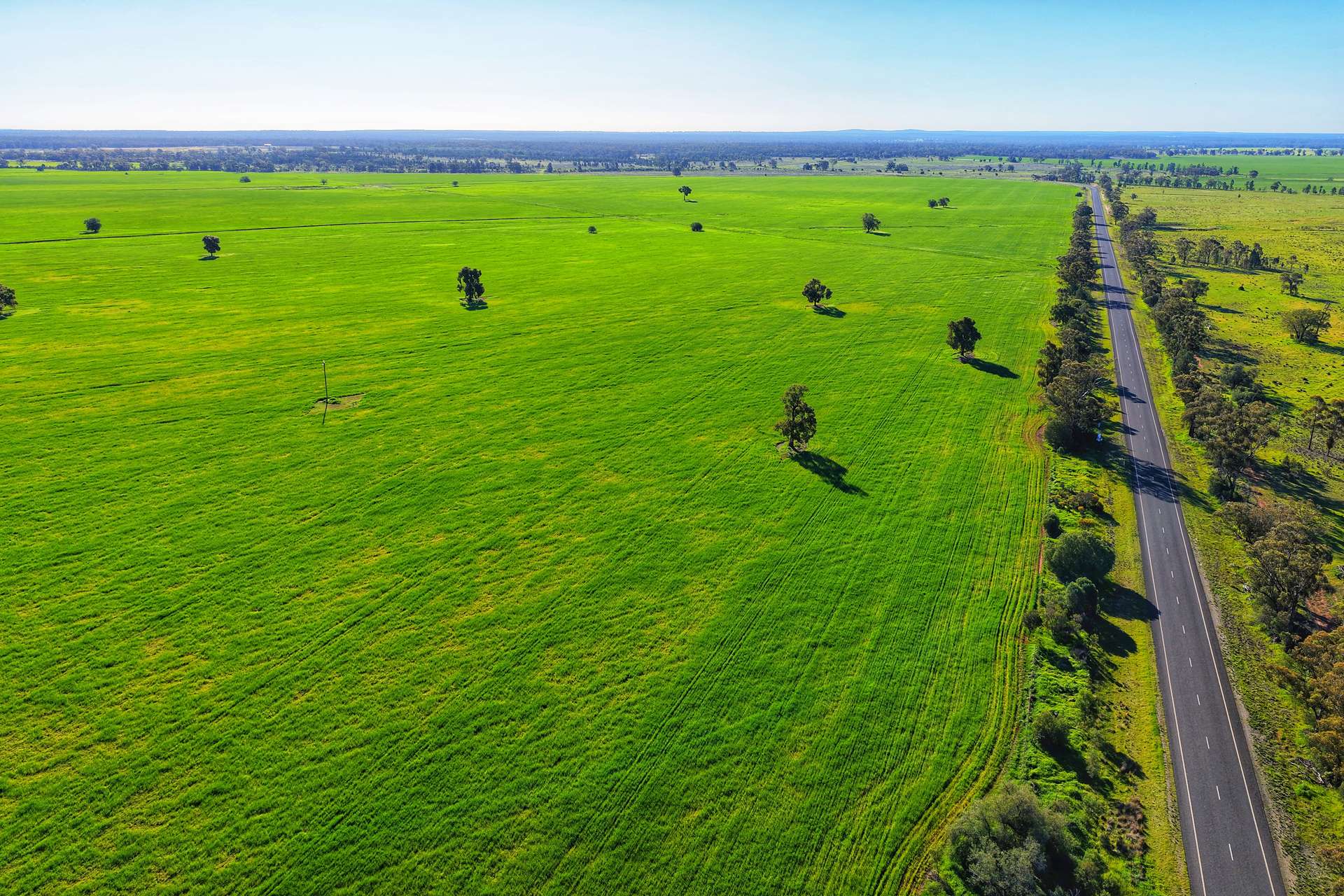 Daisy Springs 2537 The Bogan Way, Albert Auction by Farmbuy.com - image 18