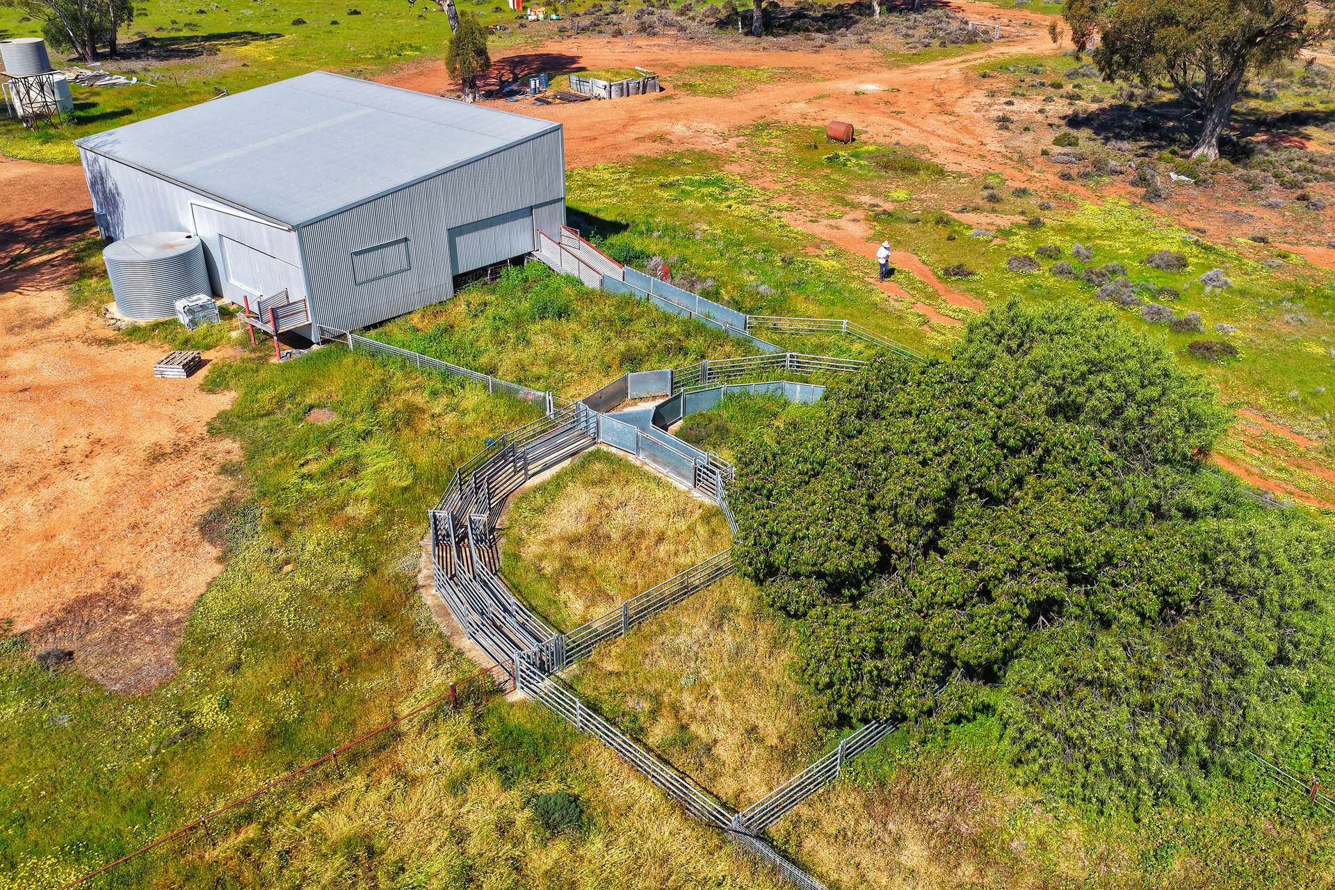 Daisy Springs 2537 The Bogan Way, Albert Auction by Farmbuy.com - image 3