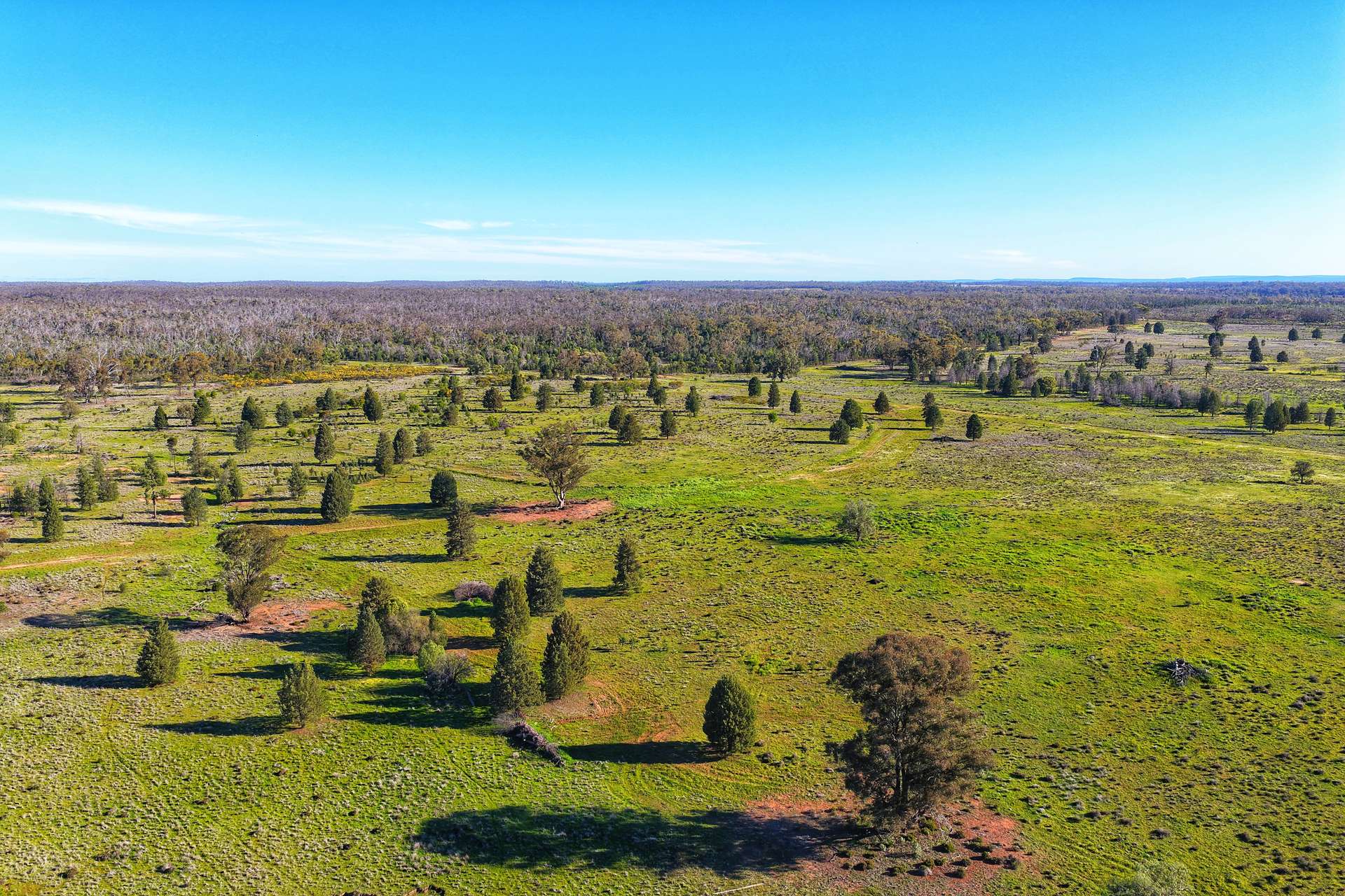 Daisy Springs 2537 The Bogan Way, Albert Auction by Farmbuy.com - image 14