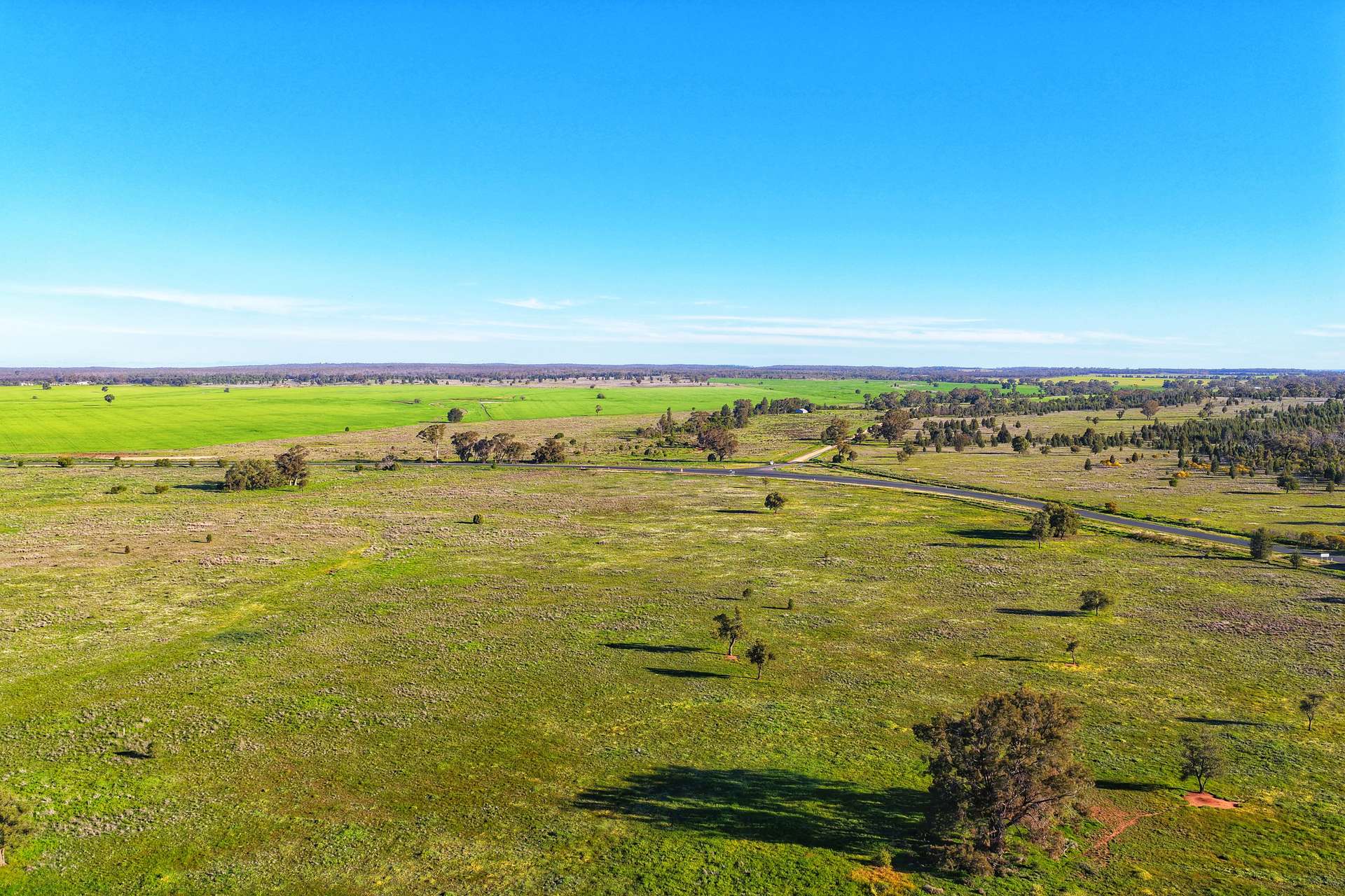 Daisy Springs 2537 The Bogan Way, Albert Auction by Farmbuy.com - image 17