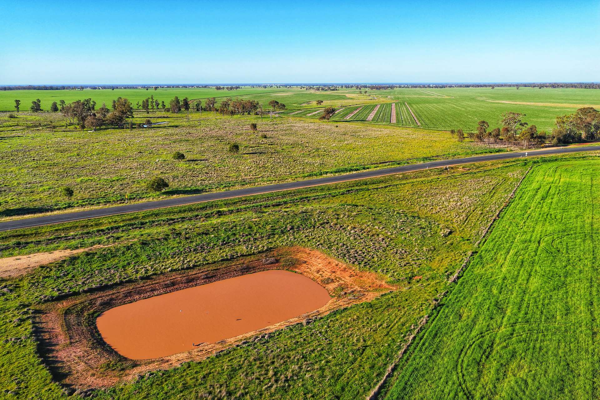 Daisy Springs 2537 The Bogan Way, Albert Auction by Farmbuy.com - image 19