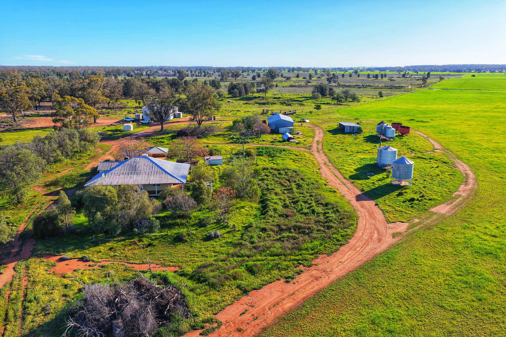 Daisy Springs 2537 The Bogan Way, Albert Auction by Farmbuy.com - image 2