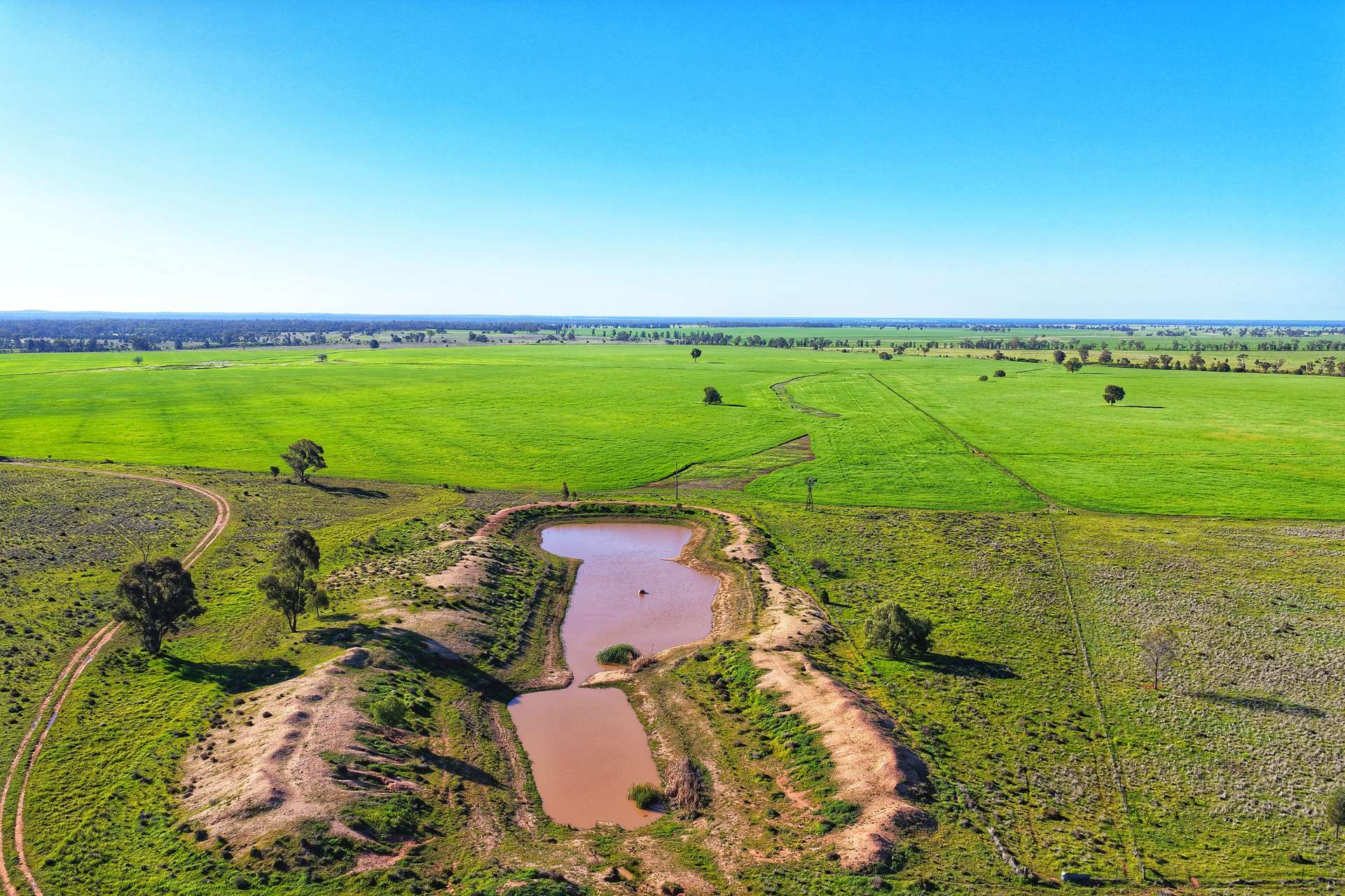 Daisy Springs 2537 The Bogan Way, Albert Auction by Farmbuy.com - image 13