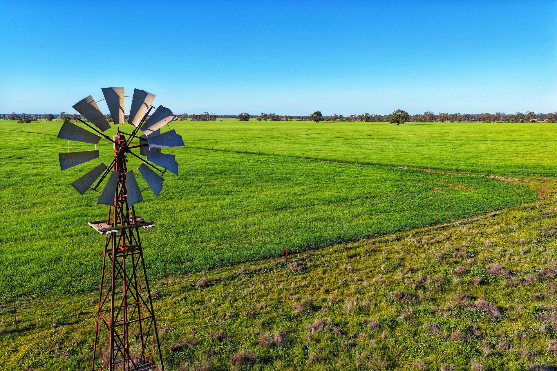 Daisy Springs 2537 The Bogan Way, Albert Auction by Farmbuy.com - image 1