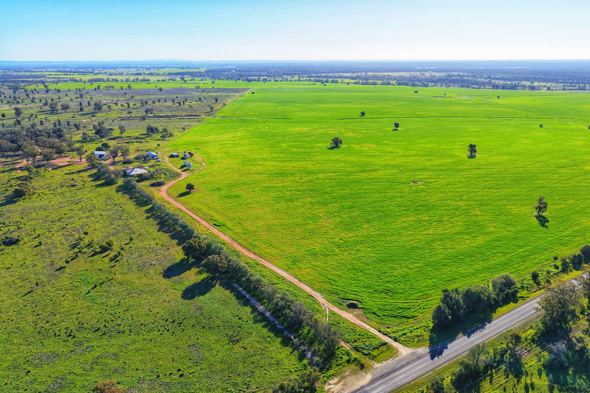 Daisy Springs 2537 The Bogan Way, Albert Auction by Farmbuy.com - image 15