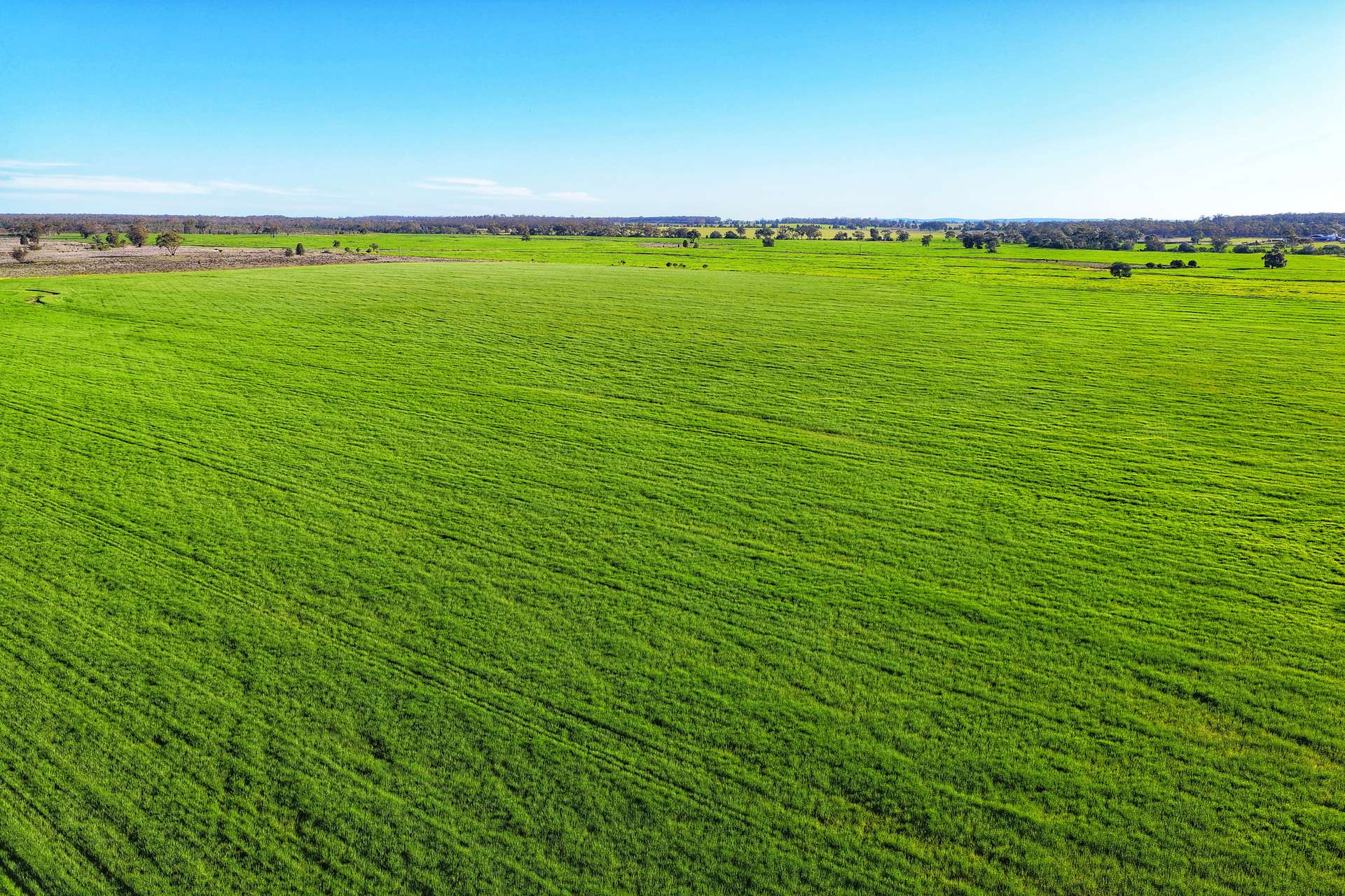 Daisy Springs 2537 The Bogan Way, Albert Auction by Farmbuy.com - image 10