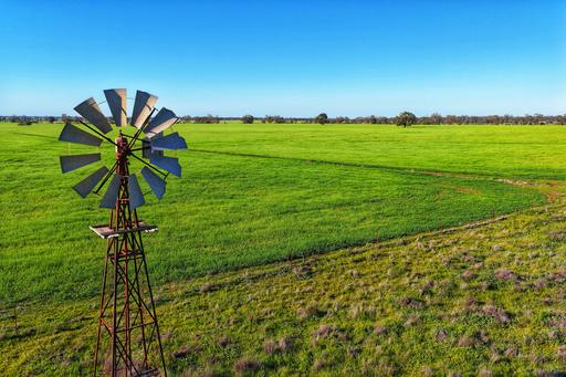 Daisy Springs 2537 The Bogan Way, Albert NSW 2873