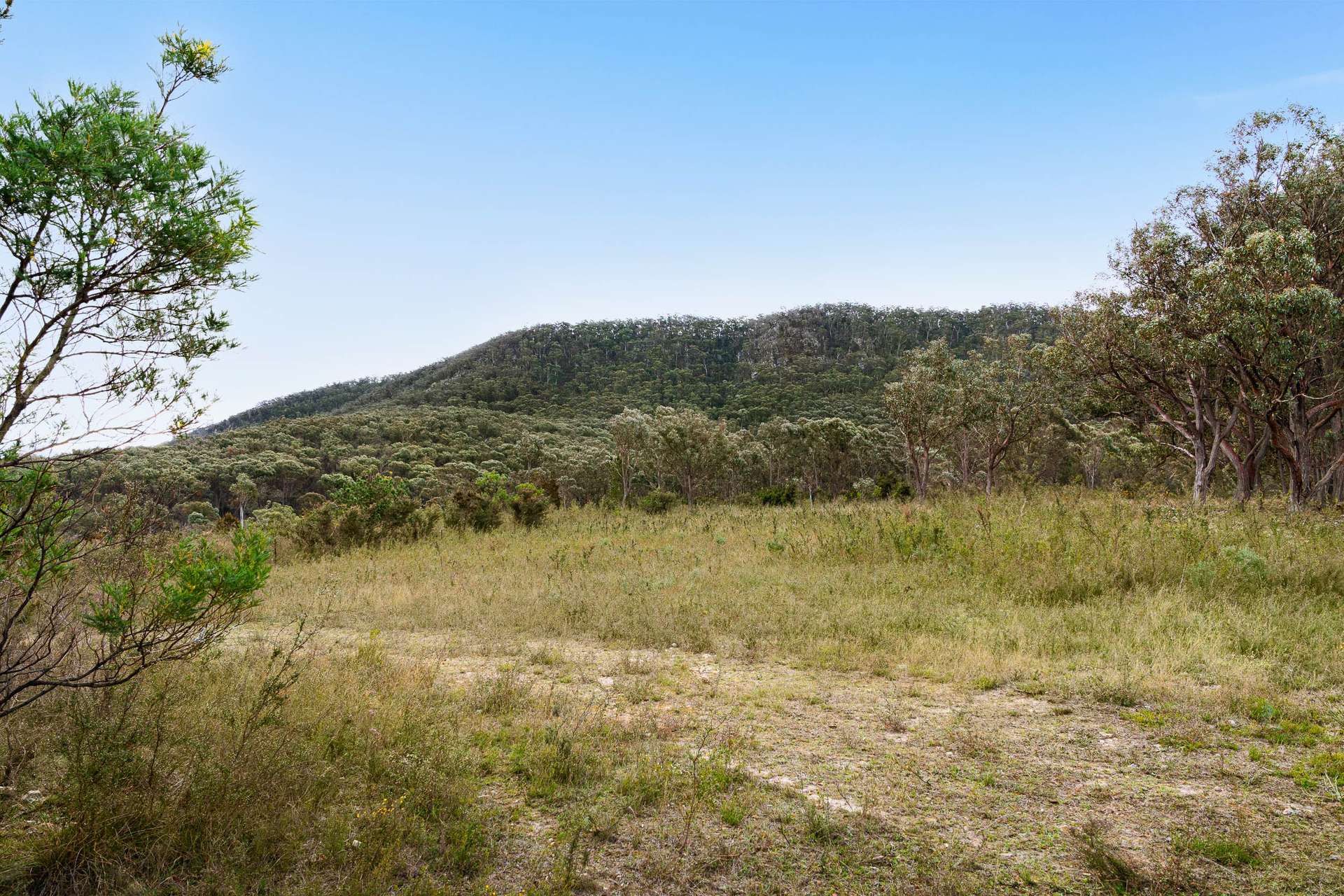 182 Arthurs Road Towrang Via, Goulburn Auction by Farmbuy.com - image 15