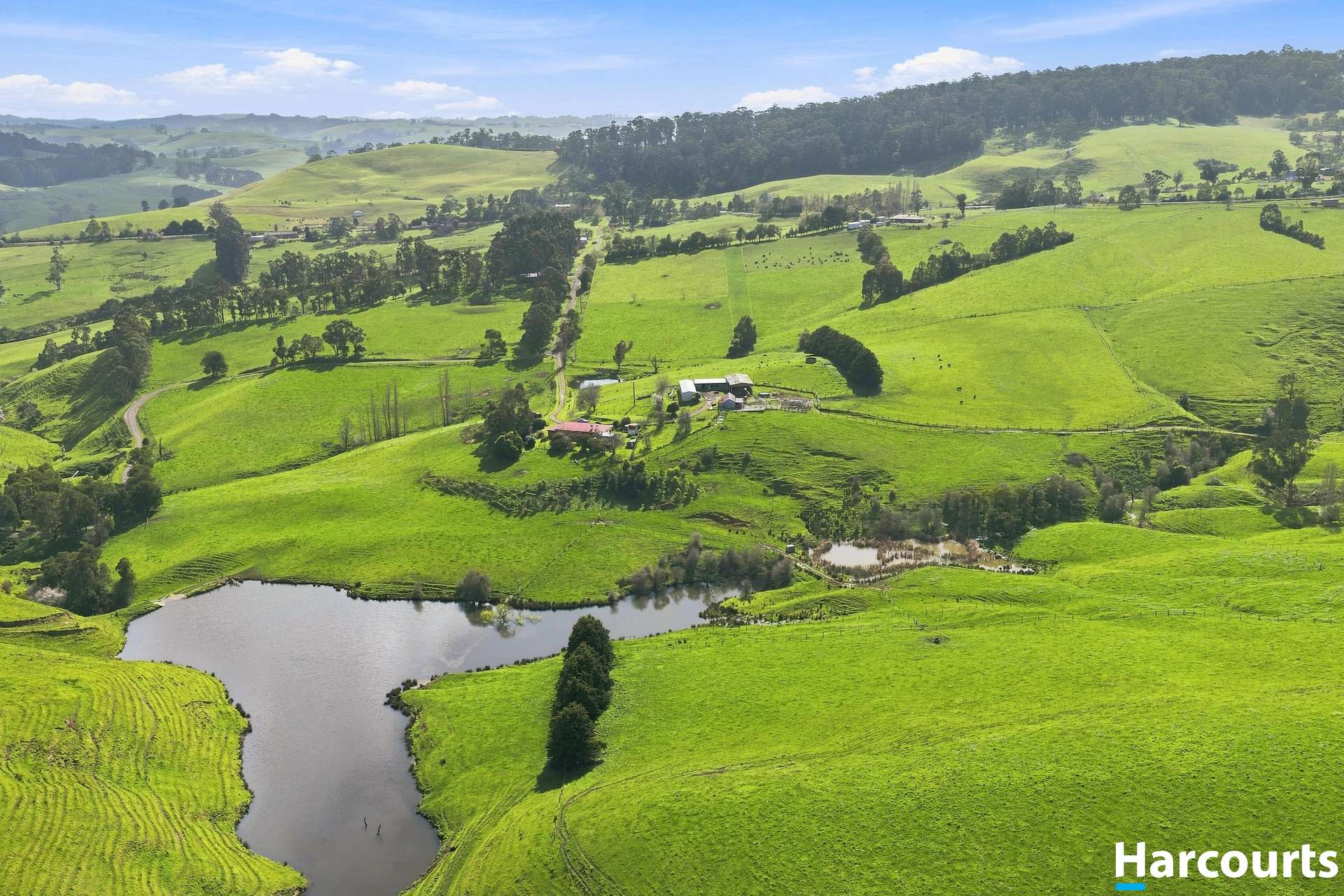 Lot 1, 60 Lanes Road, Mirboo North For Sale by Farmbuy.com - image 35