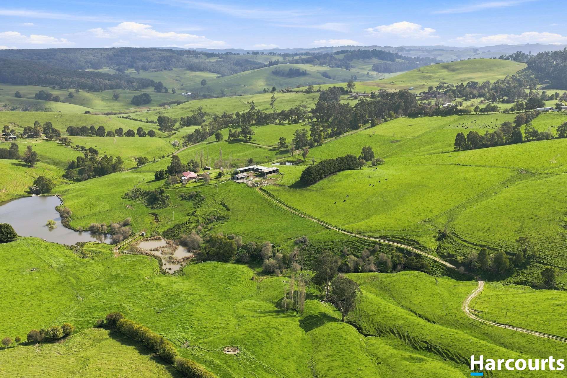 Lot 1, 60 Lanes Road, Mirboo North For Sale by Farmbuy.com - image 33
