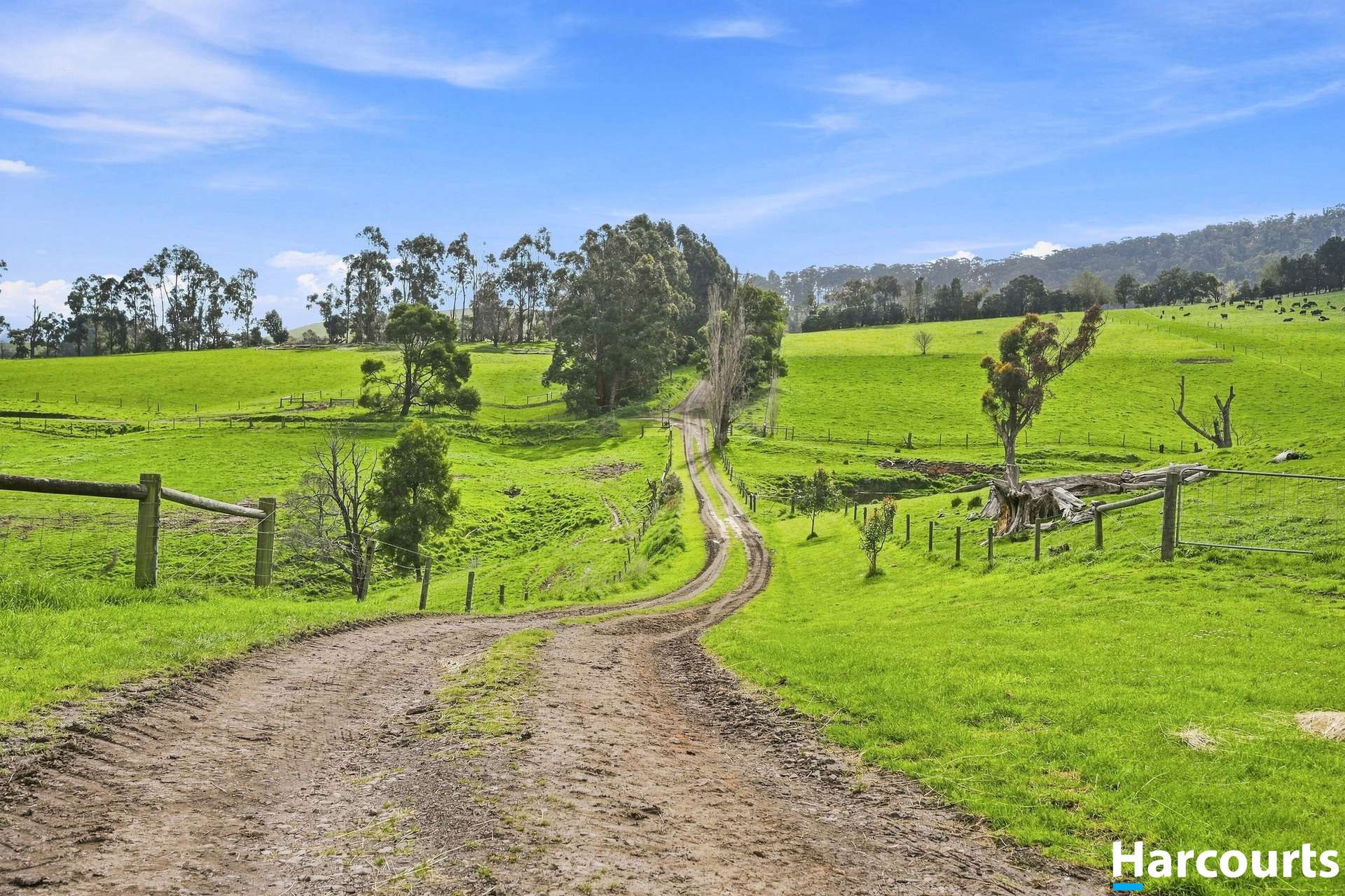 Lot 1, 60 Lanes Road, Mirboo North For Sale by Farmbuy.com - image 31
