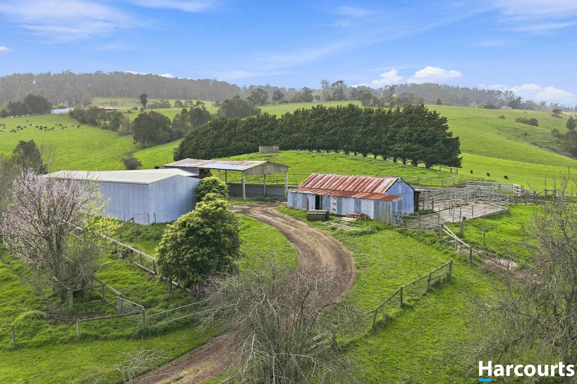 Lot 1, 60 Lanes Road, Mirboo North For Sale by Farmbuy.com - image 21