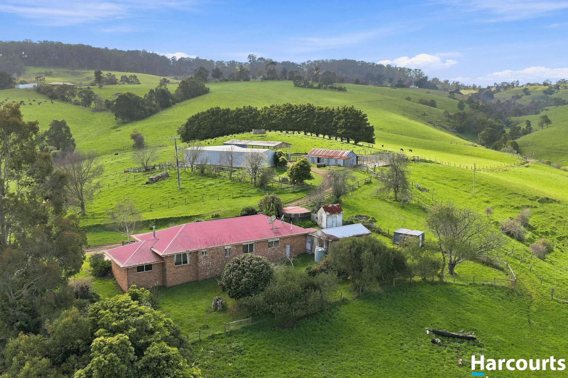 Lot 1, 60 Lanes Road, Mirboo North For Sale by Farmbuy.com - image 28