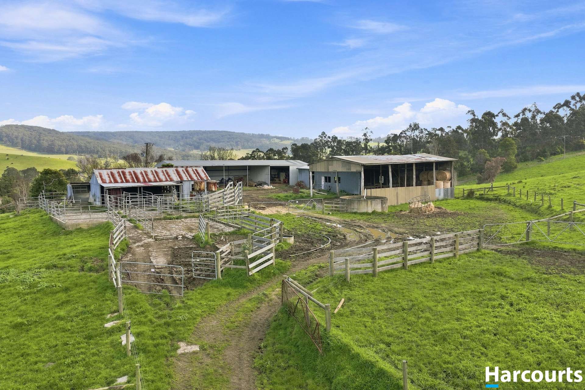 Lot 1, 60 Lanes Road, Mirboo North For Sale by Farmbuy.com - image 25