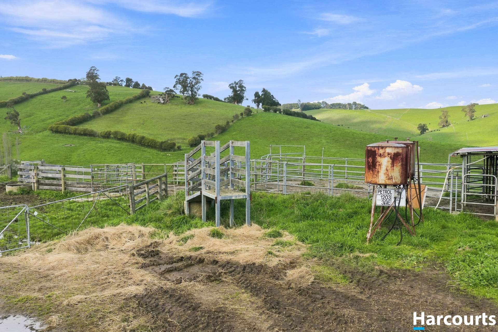 Lot 1, 60 Lanes Road, Mirboo North For Sale by Farmbuy.com - image 23